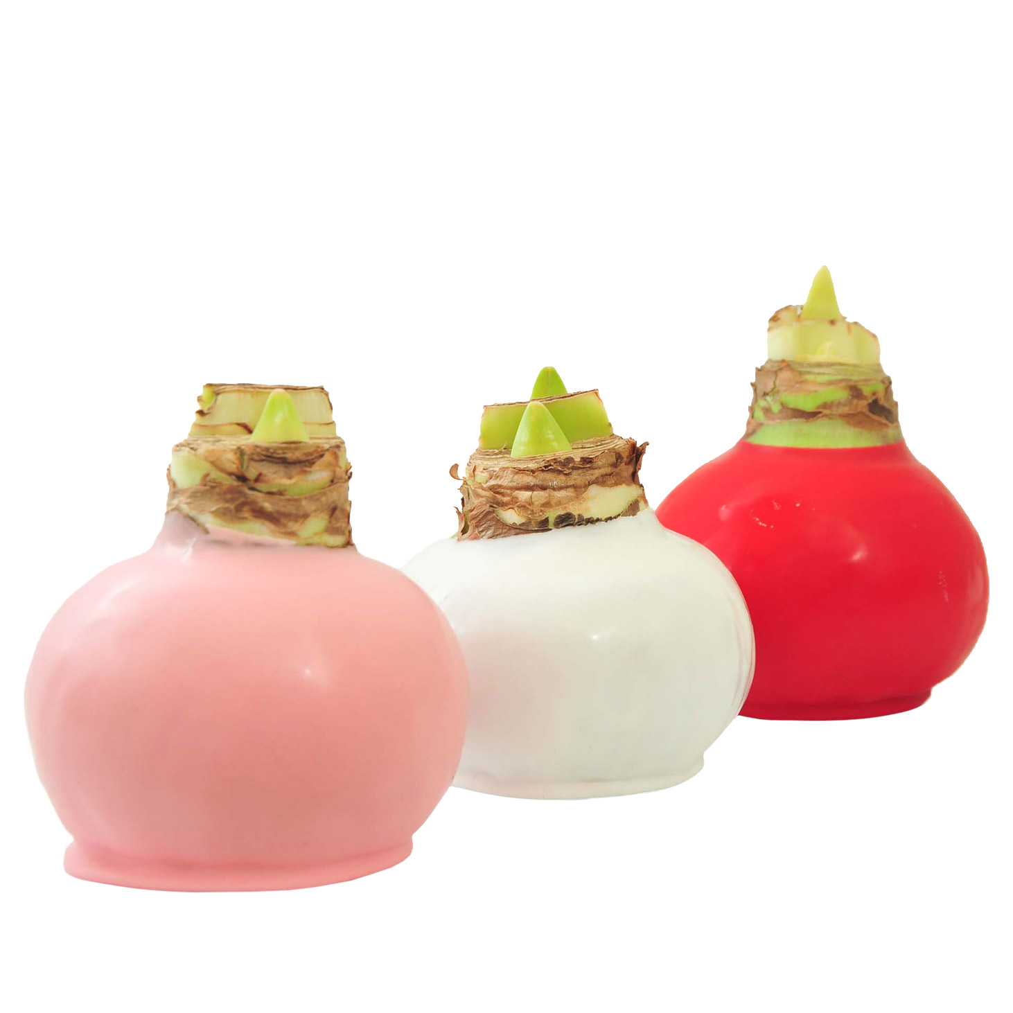 Enlarge Product Preview 2 Successfully Enriched by automation Job.