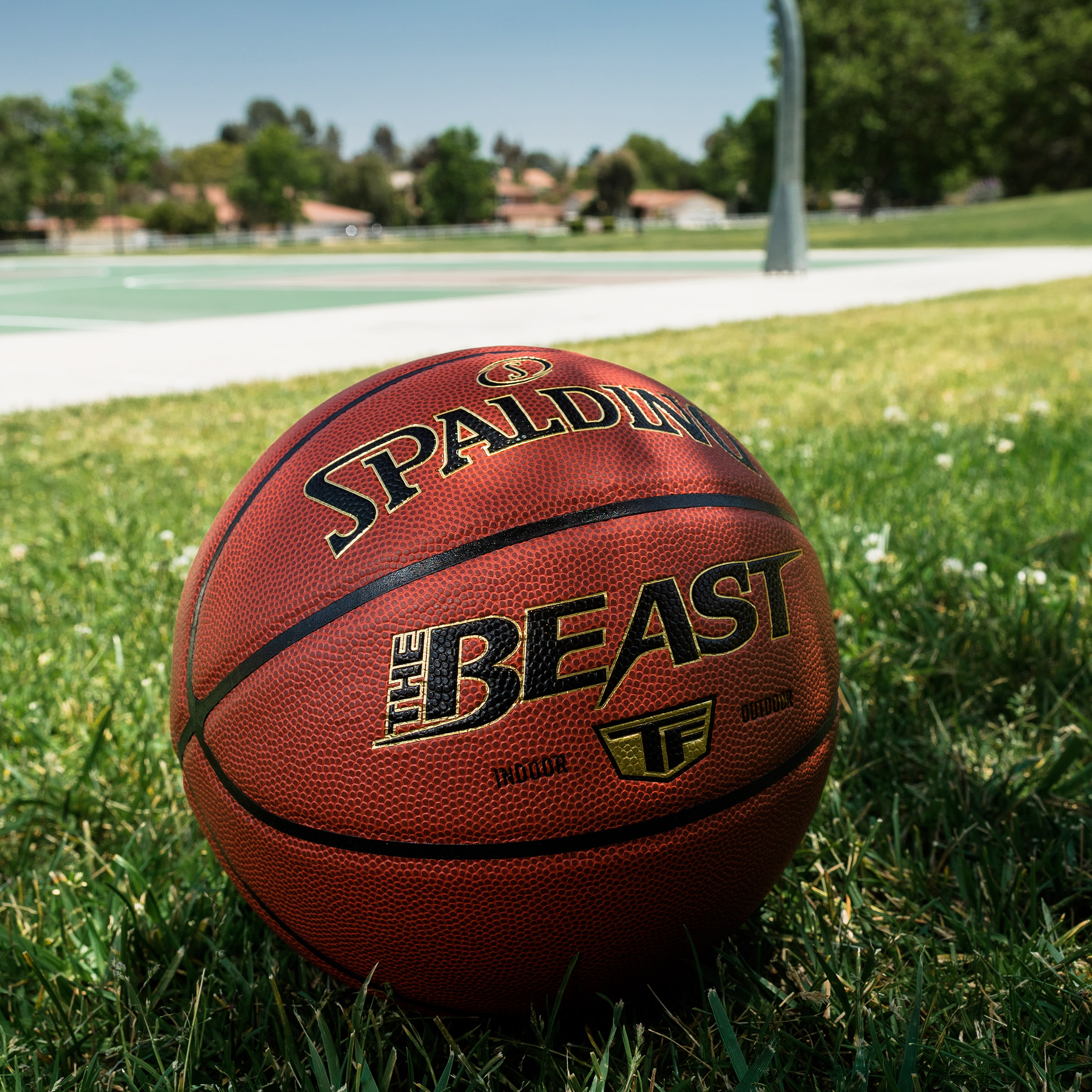 Spalding “The Beast” Basketball