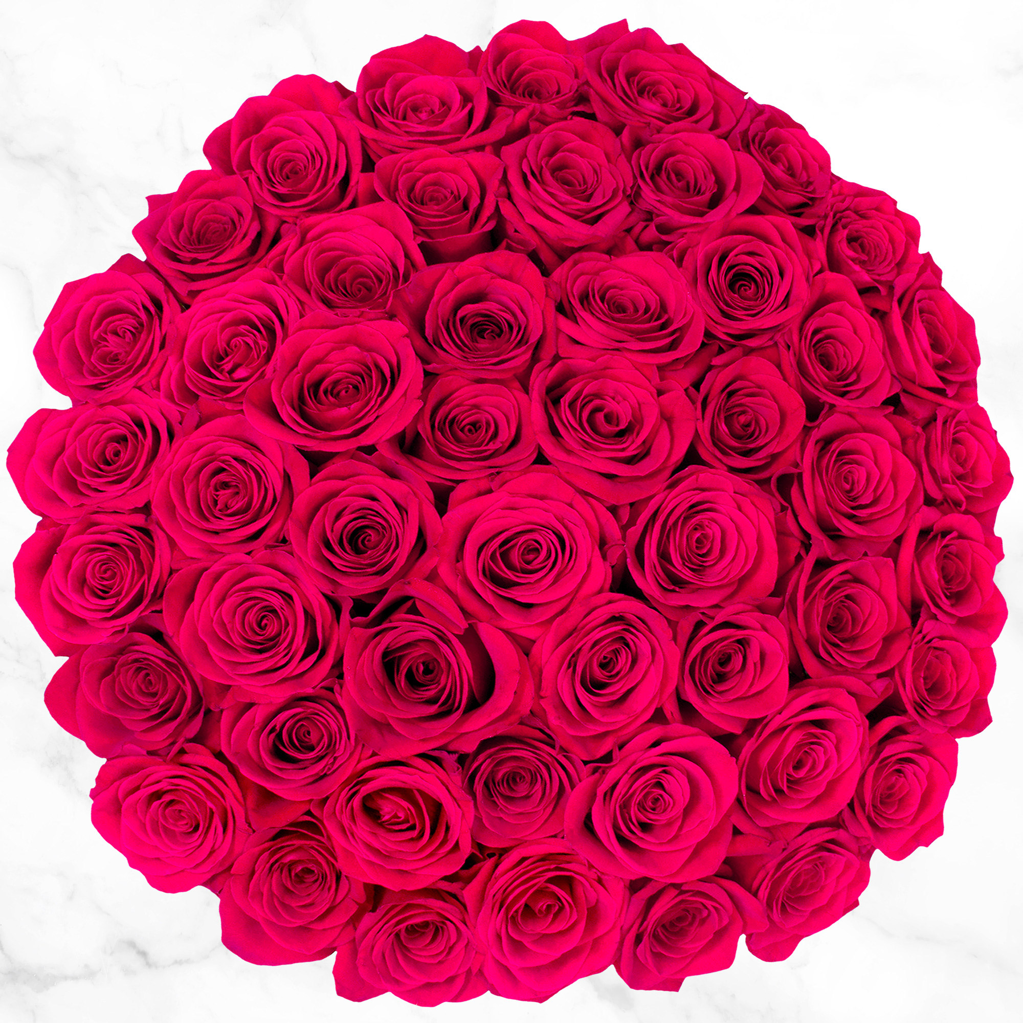 50-stem Hot Pink Roses