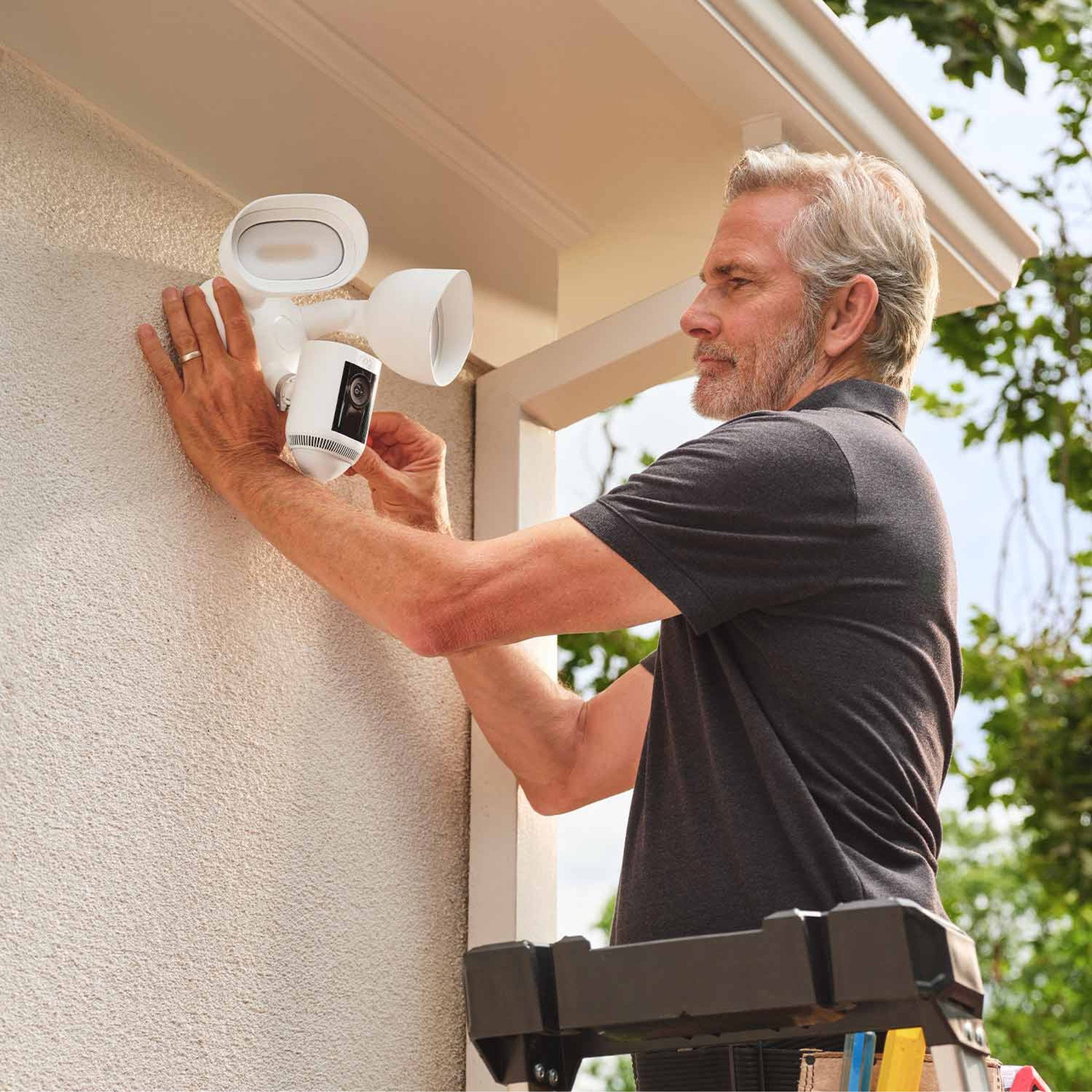 Enlarge Product Preview 4 Successfully Enriched by automation Job.