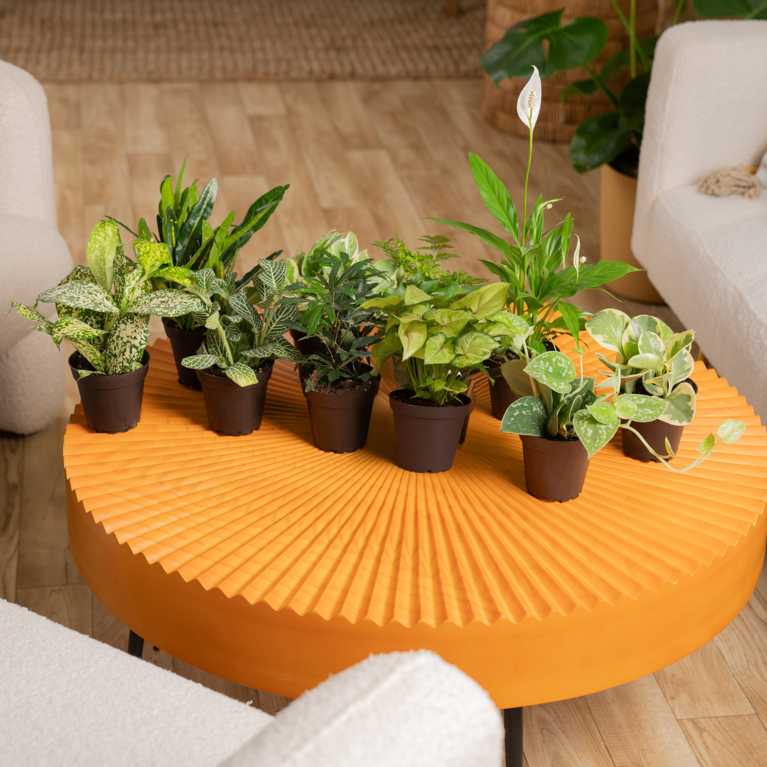 Enlarge Product Preview 3 Successfully Enriched by automation Job.