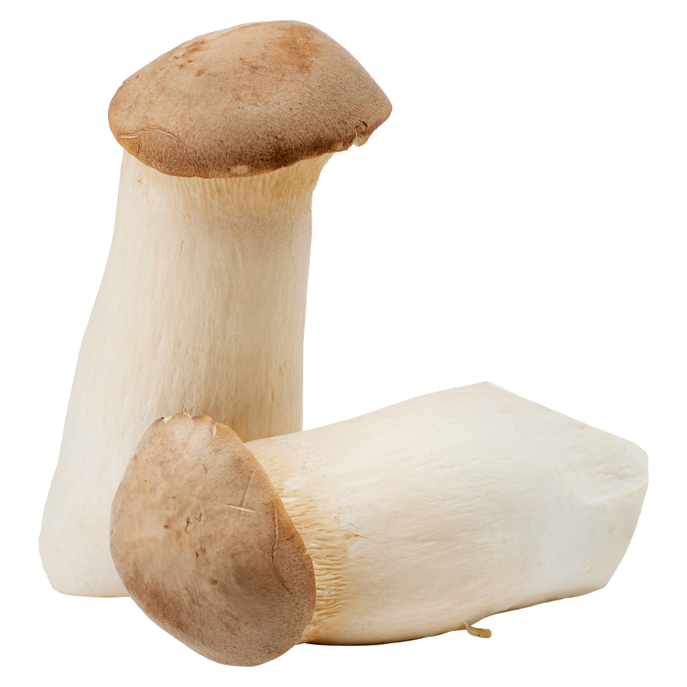 Enlarge Product Preview 5 Successfully Enriched by automation Job.