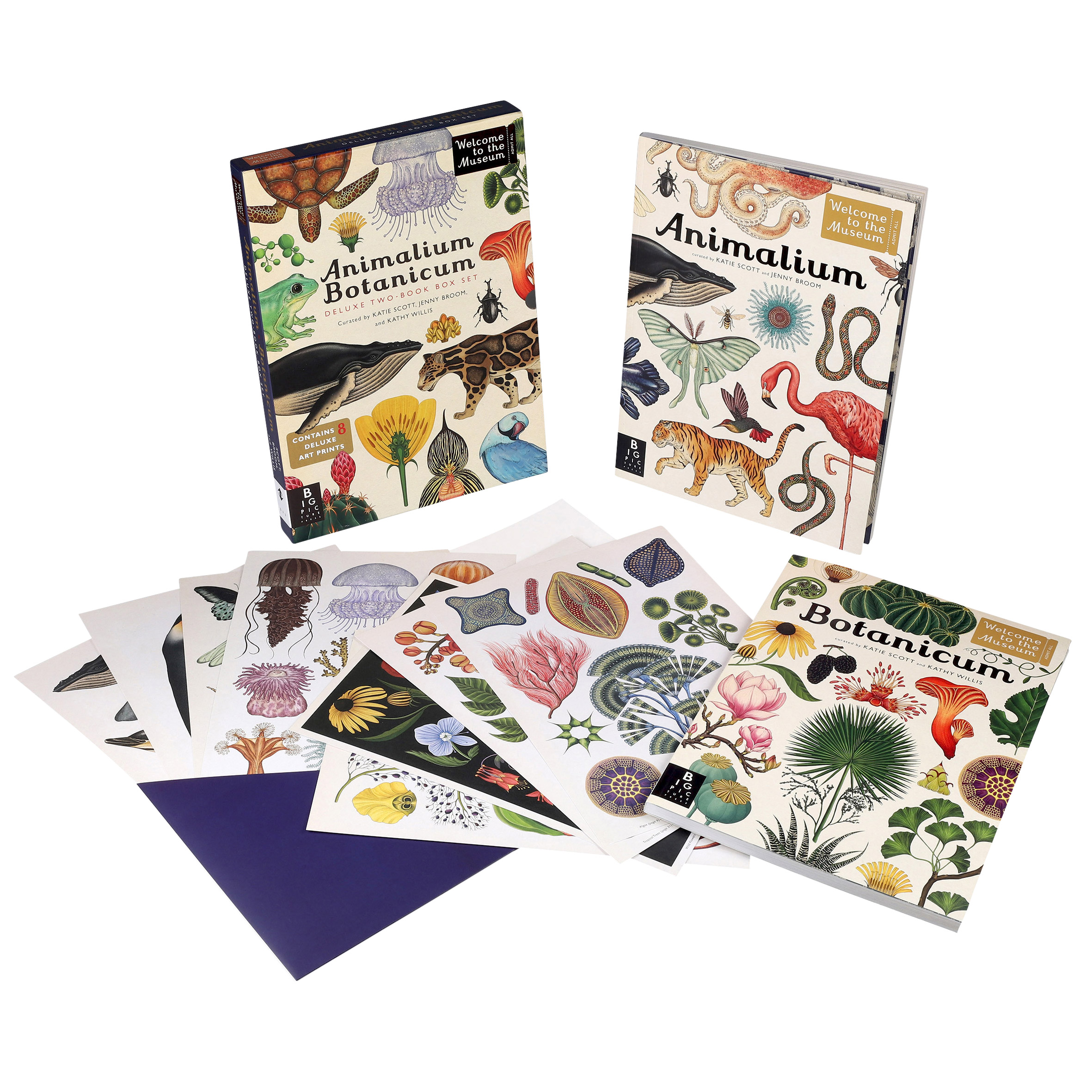 専用　ANIMALIUM/Animalia　洋書2冊セット Animalium Botanicum: 2 Book Set | Costco