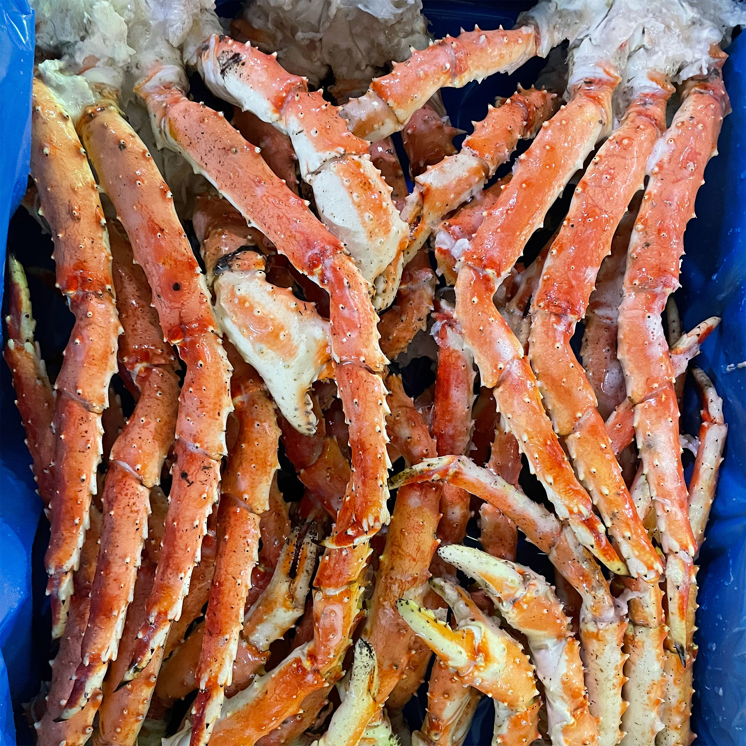 Enlarge Product Preview 3 Successfully Enriched by automation Job.