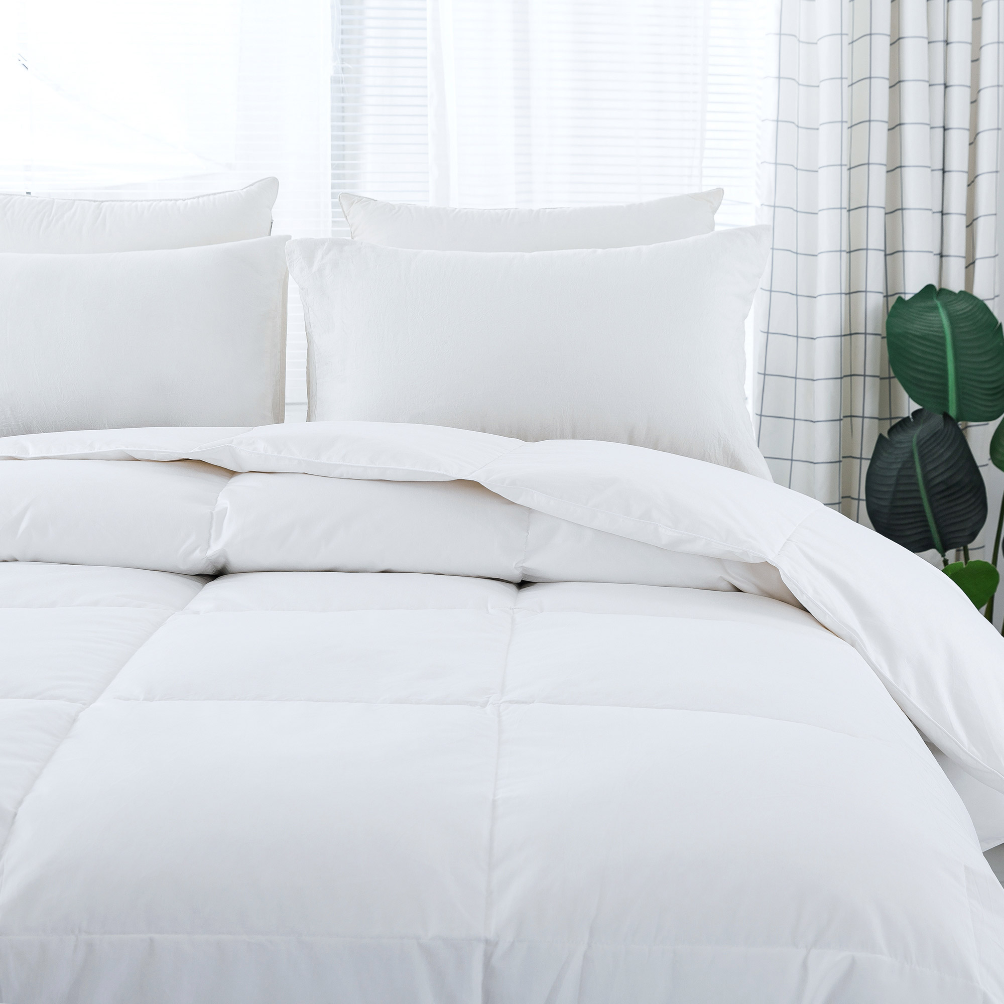 Enlarge Product Preview 2