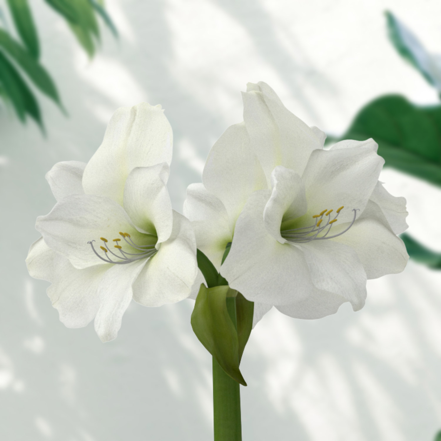 Enlarge Product Preview 2