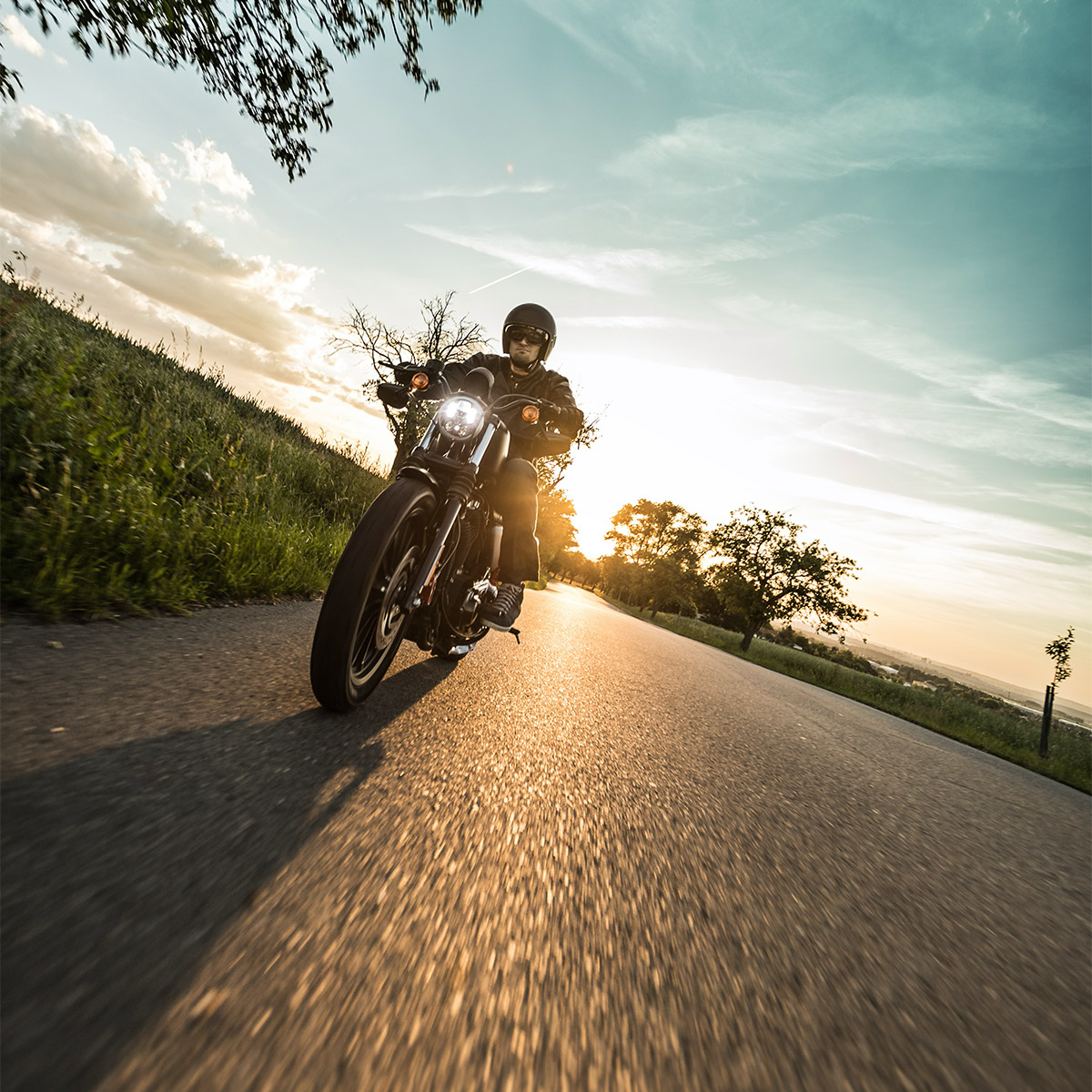 Enlarge Product Preview 5