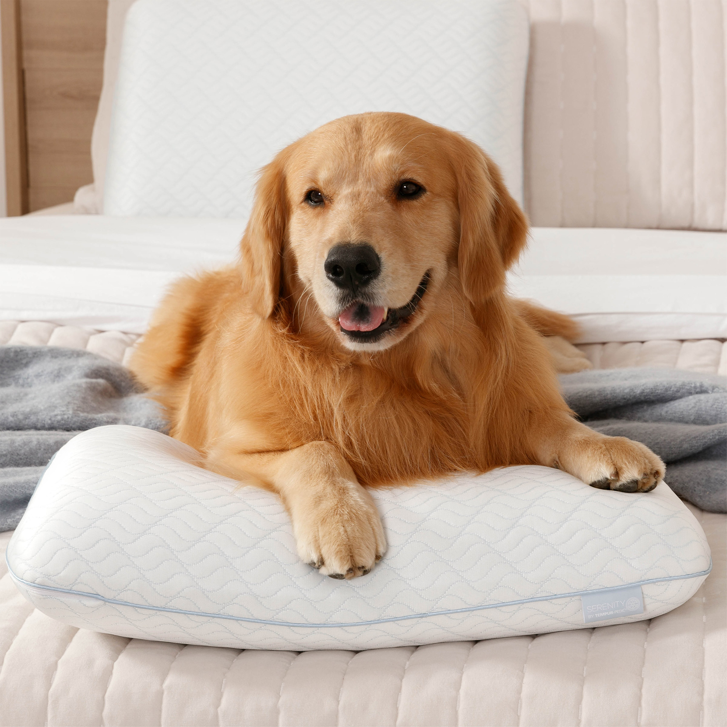 Enlarge Product Preview 3 Successfully Enriched by automation Job.