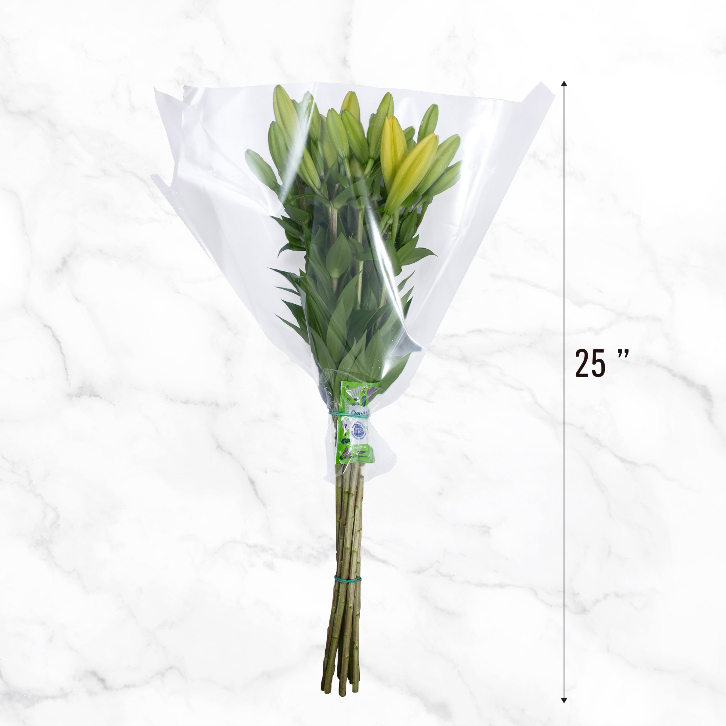 Enlarge Product Preview 5 Successfully Enriched by automation Job.