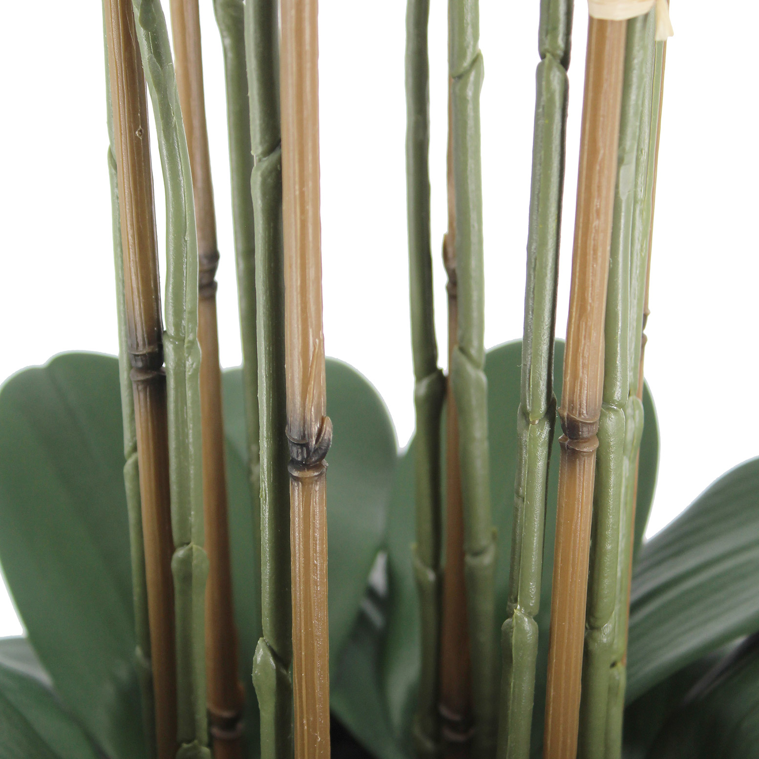 Enlarge Product Preview 5 Successfully Enriched by automation Job.