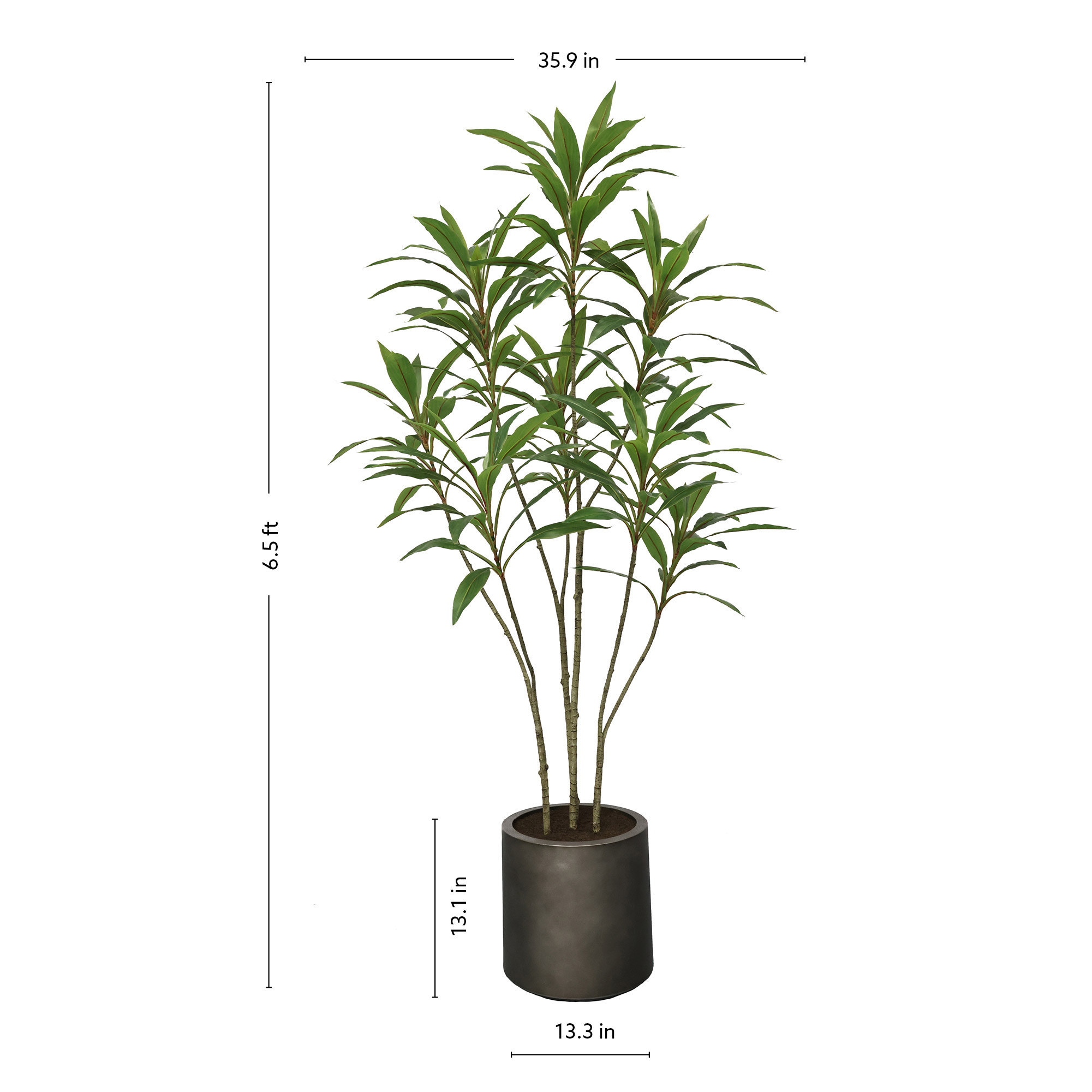 Faux 6.5' Dracaena Tree | Costco