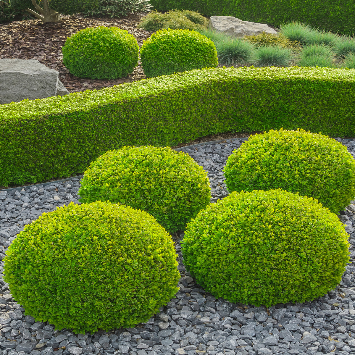 Enlarge Product Preview 2