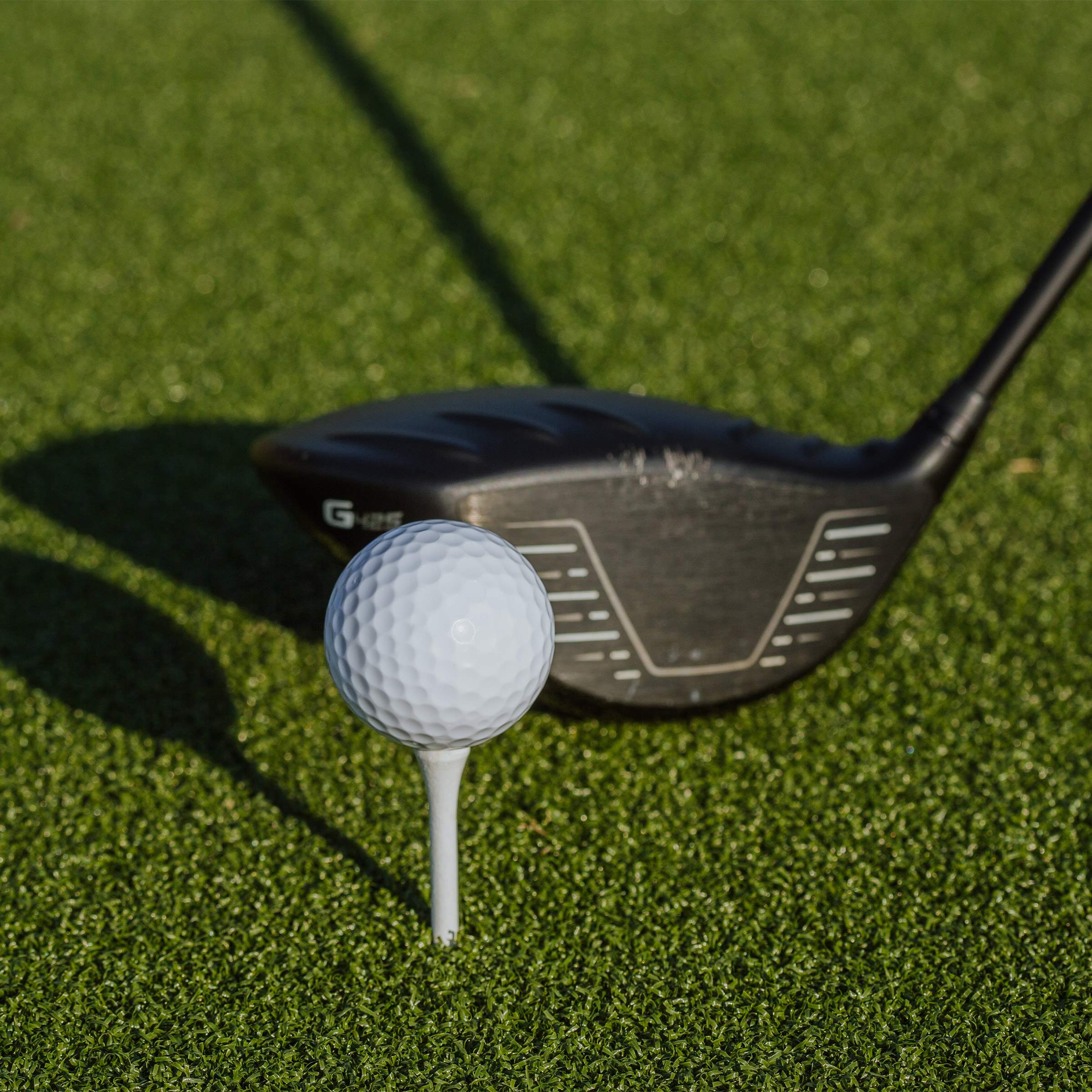 Enlarge Product Preview 6