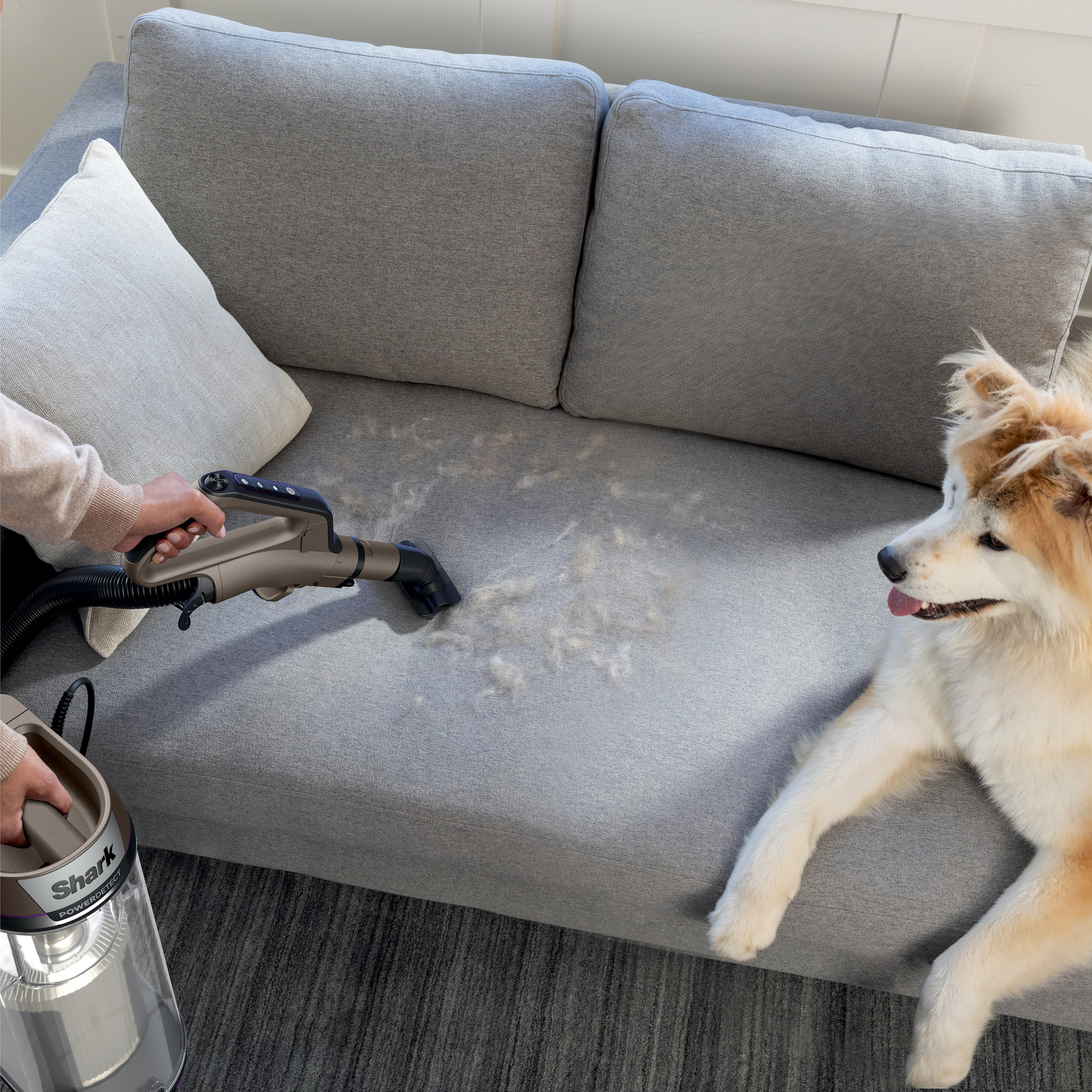 Enlarge Product Preview 4 Successfully Enriched by automation Job.