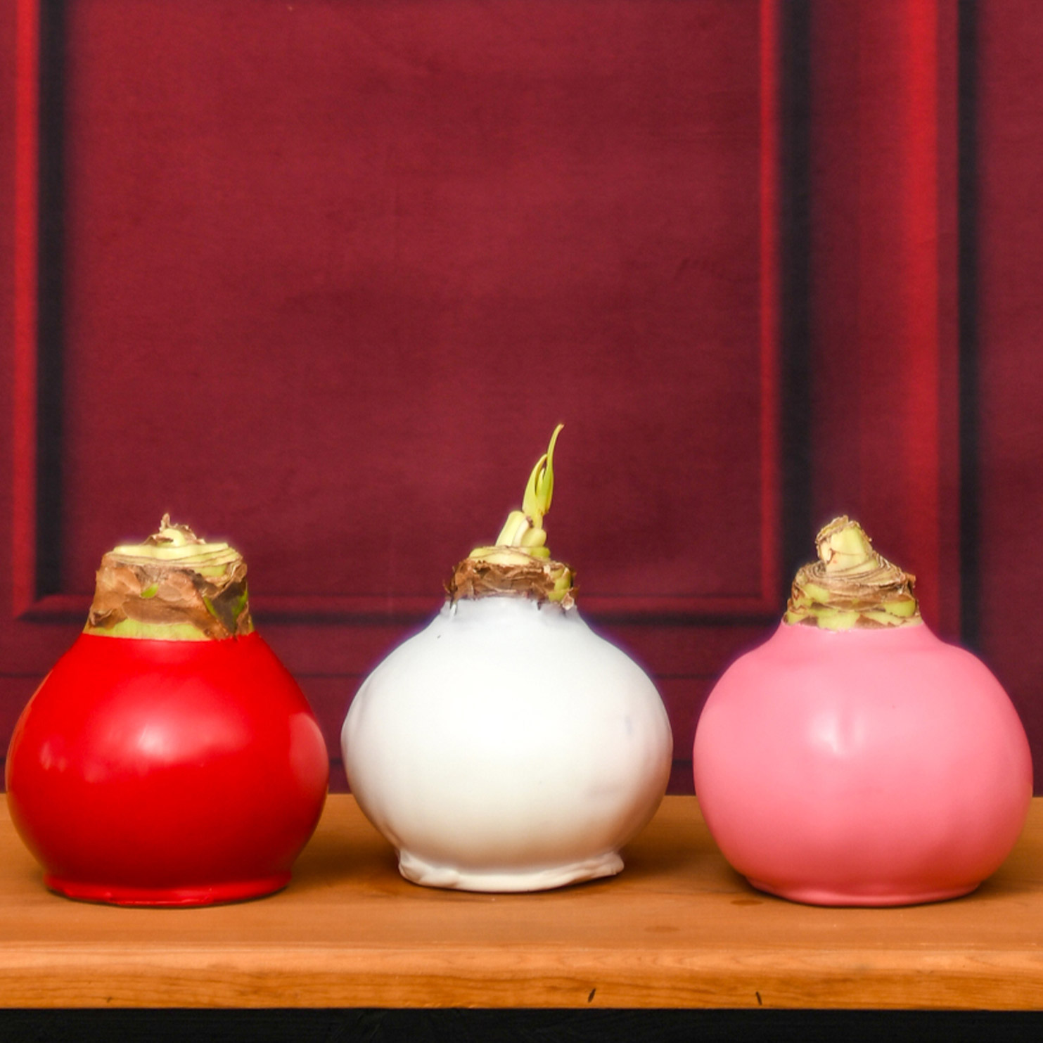 Enlarge Product Preview 3 Successfully Enriched by automation Job.