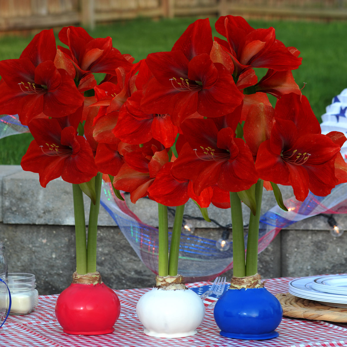 Enlarge Product Preview 6