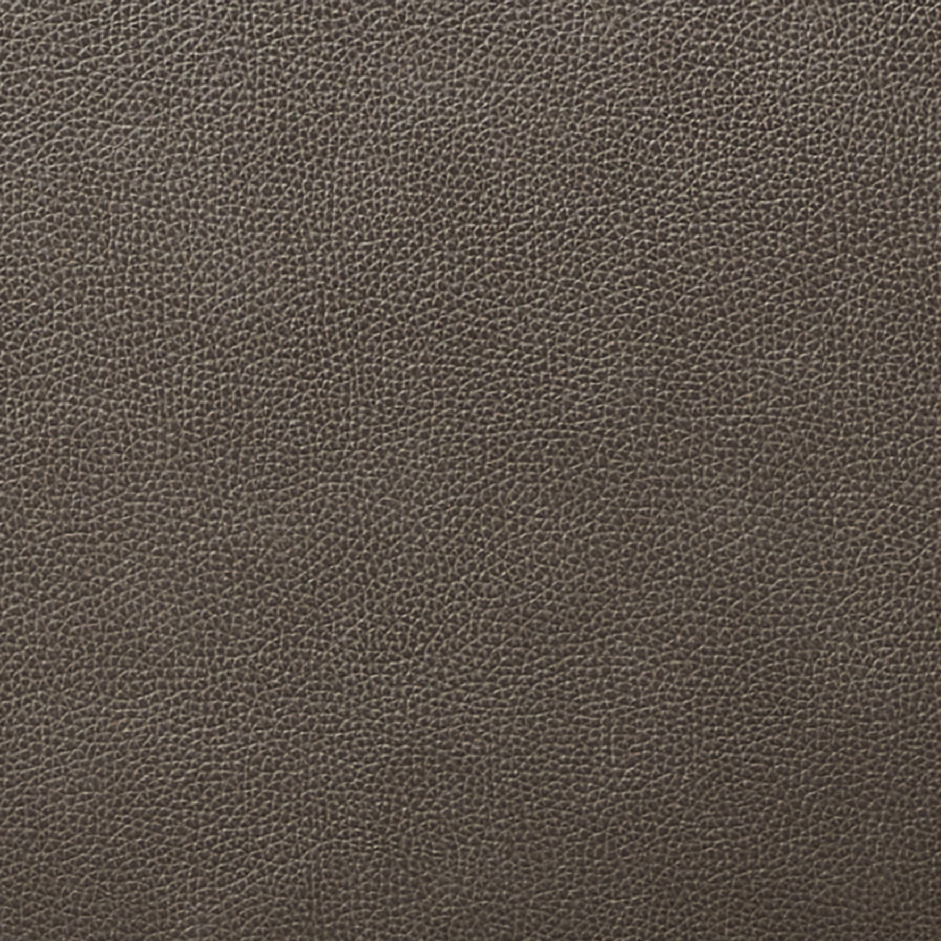 Enlarge Product Preview 8 Successfully Enriched by automation Job.