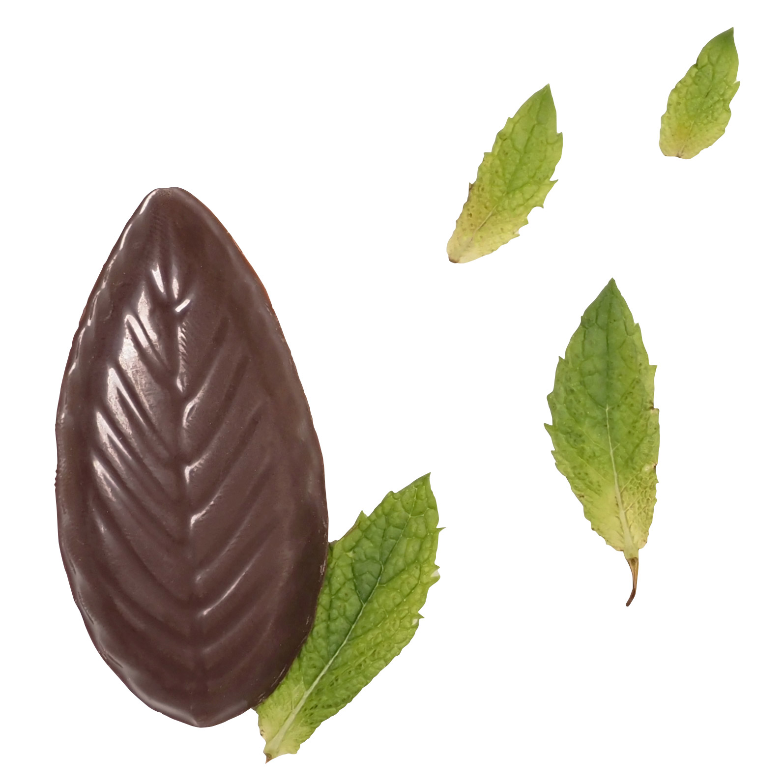 Enlarge Product Preview 4 Successfully Enriched by automation Job.