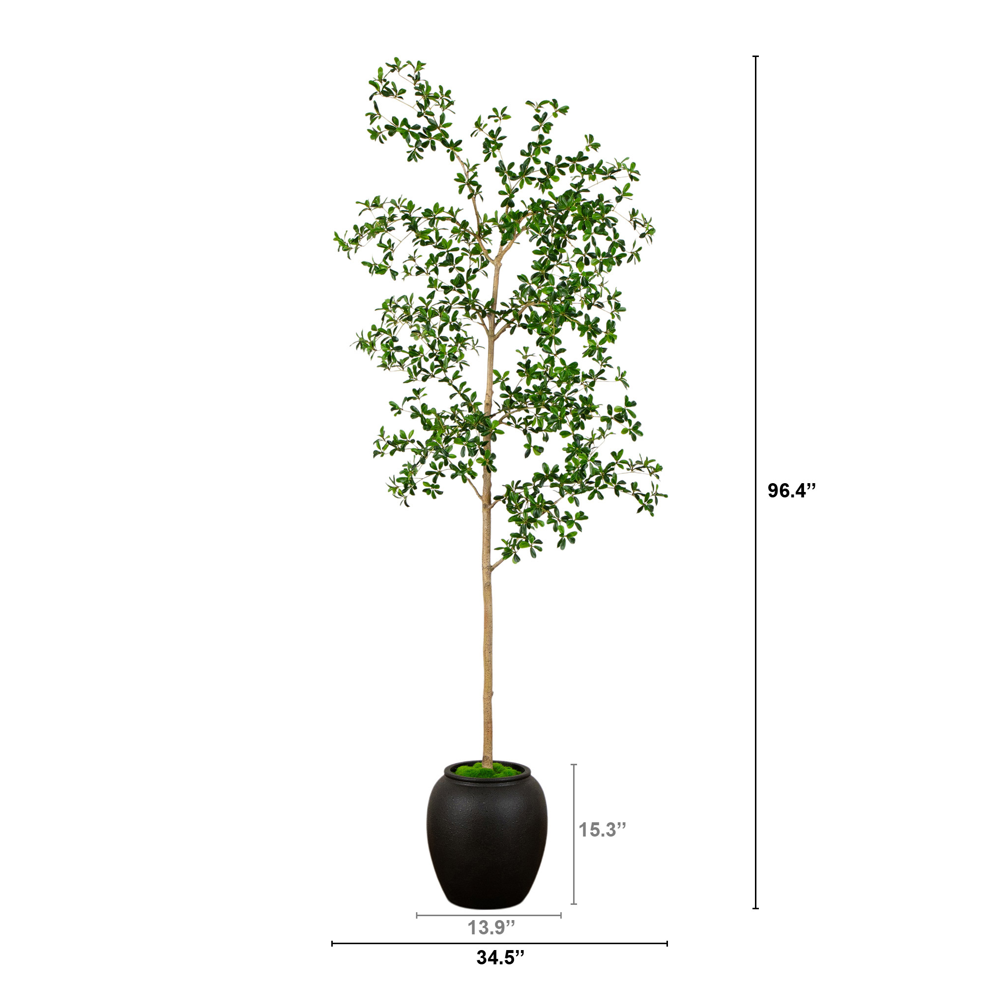 Enlarge Product Preview 2 Successfully Enriched by automation Job.