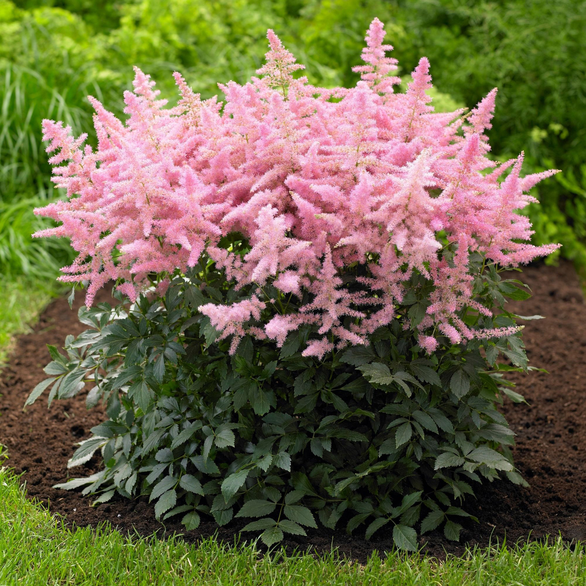 Enlarge Product Preview 8