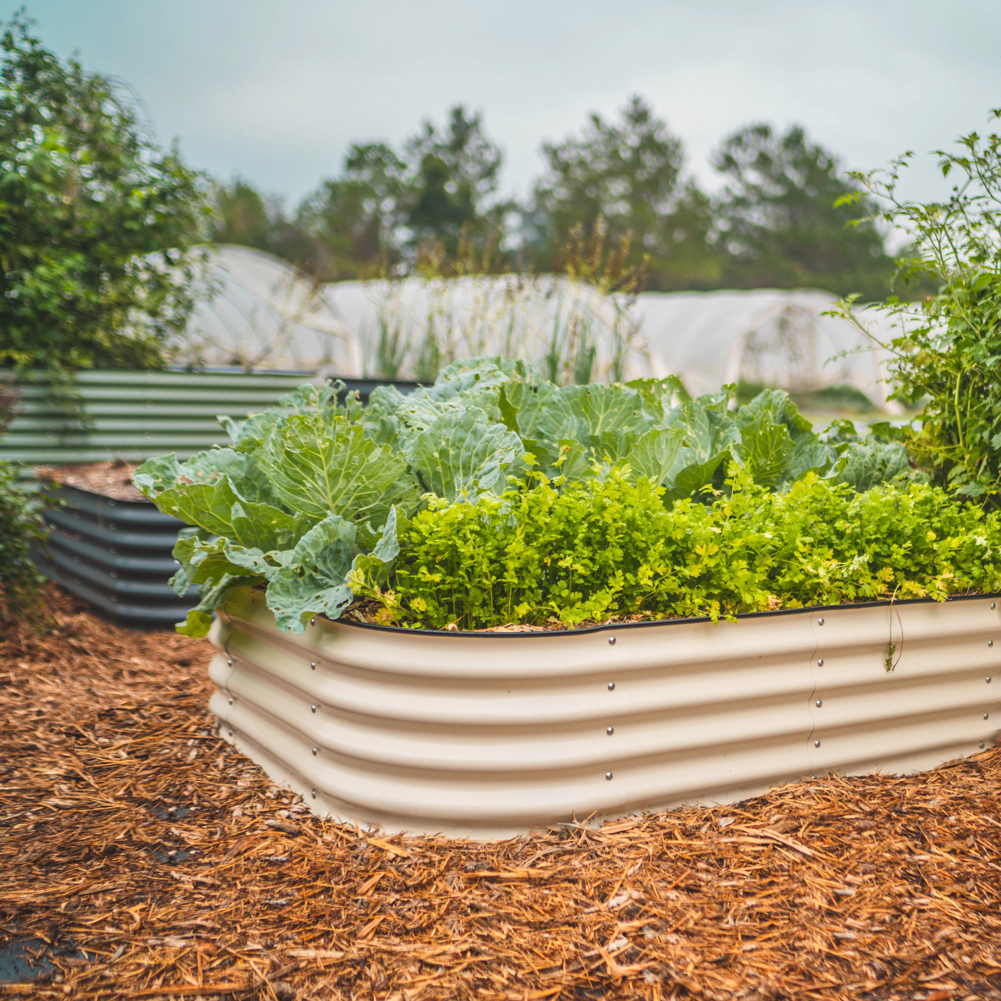 Enlarge Product Preview 4 Successfully Enriched by automation Job.