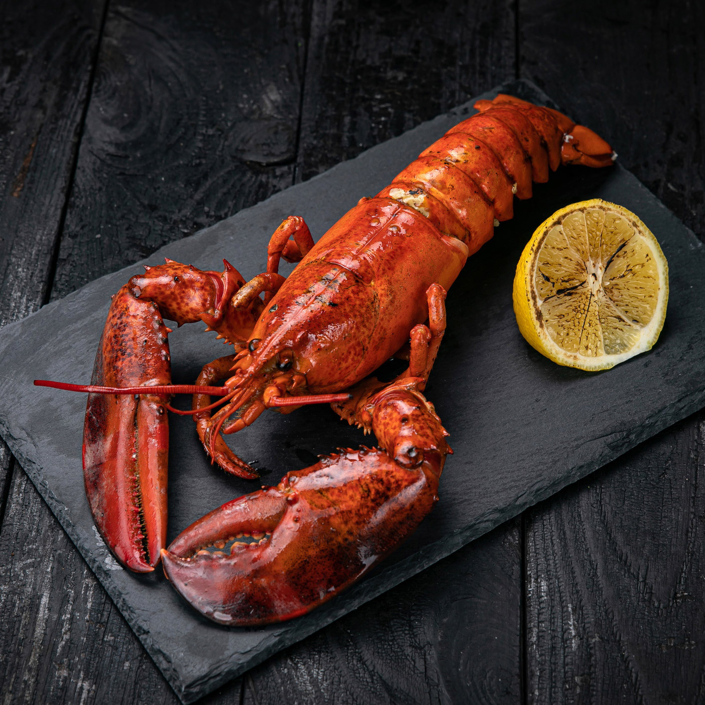 Blue Tide Frozen Wild Whole Cooked Lobster, 4.54 kg