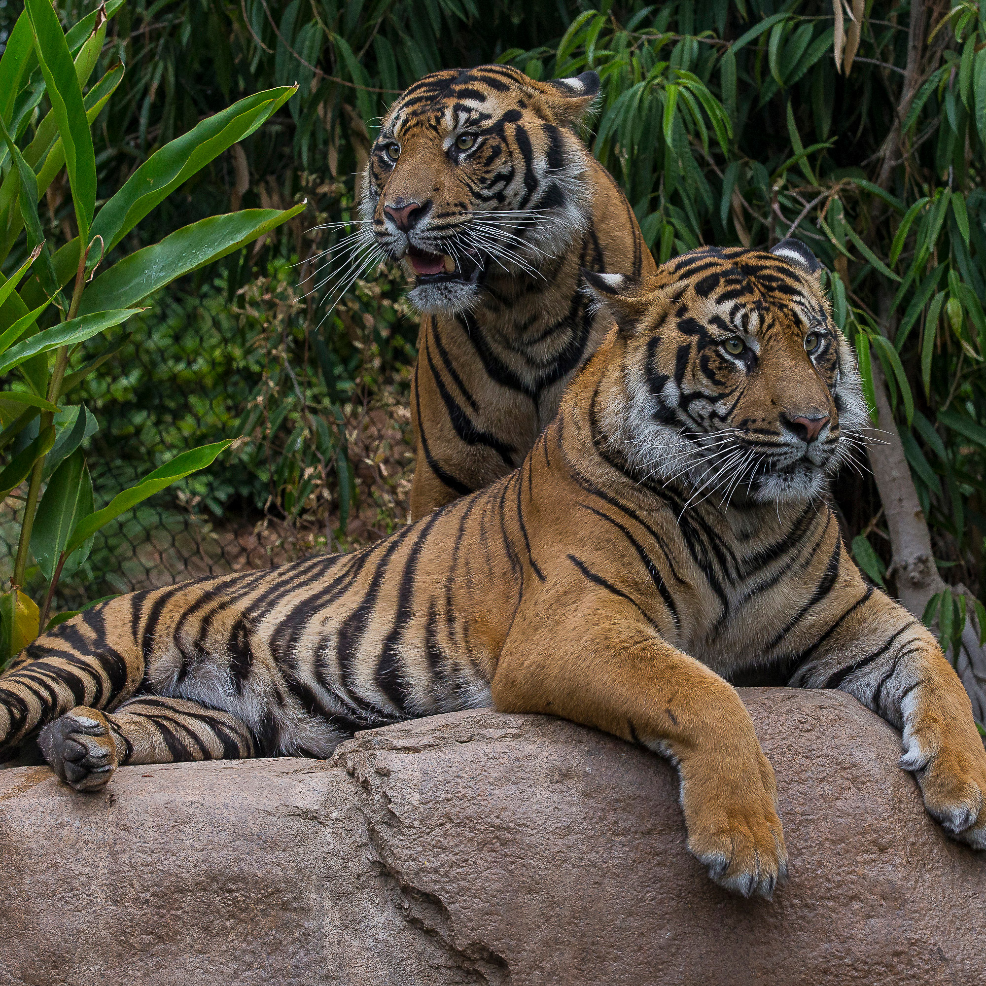 Enlarge Product Preview 4 Successfully Enriched by automation Job.