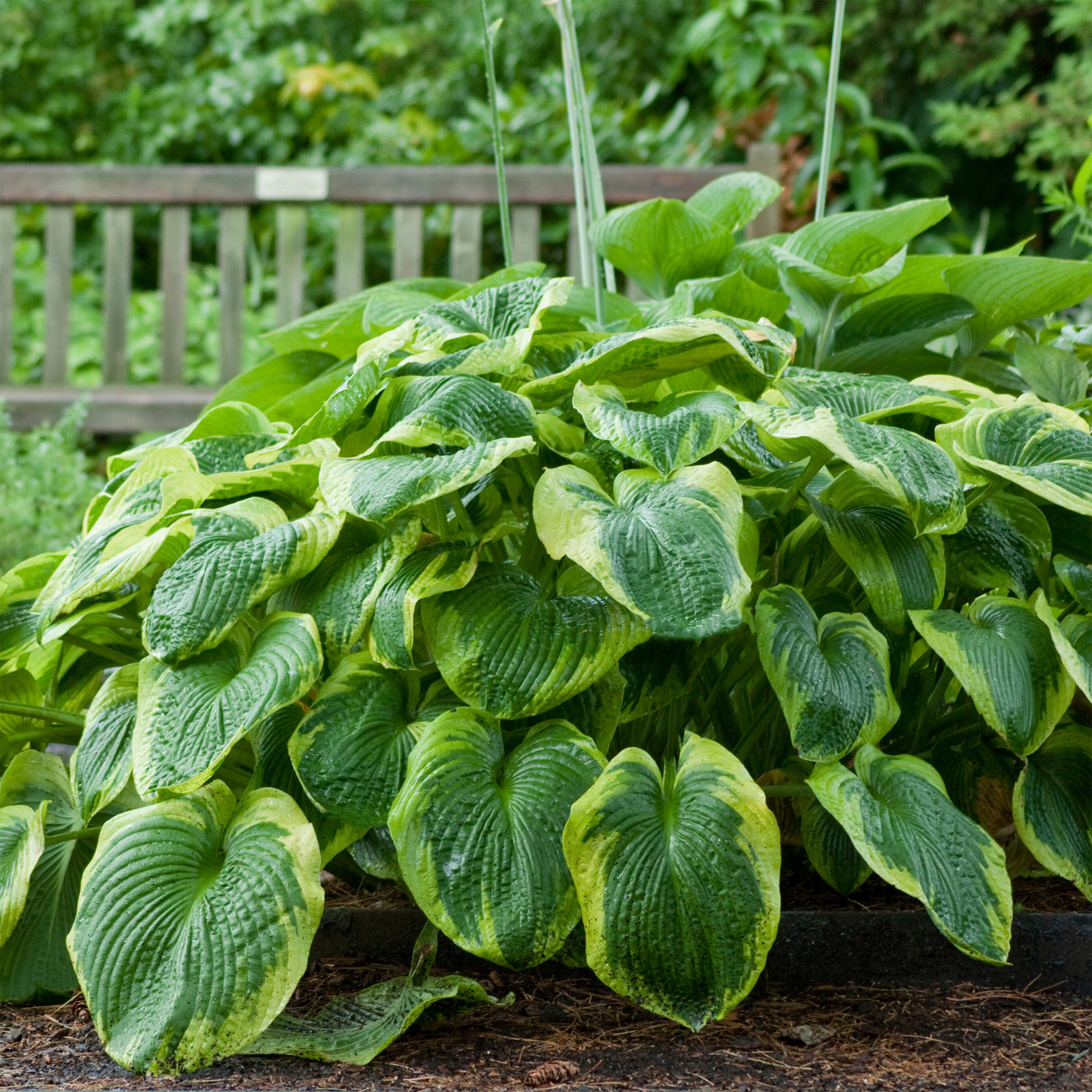 Enlarge Product Preview 13