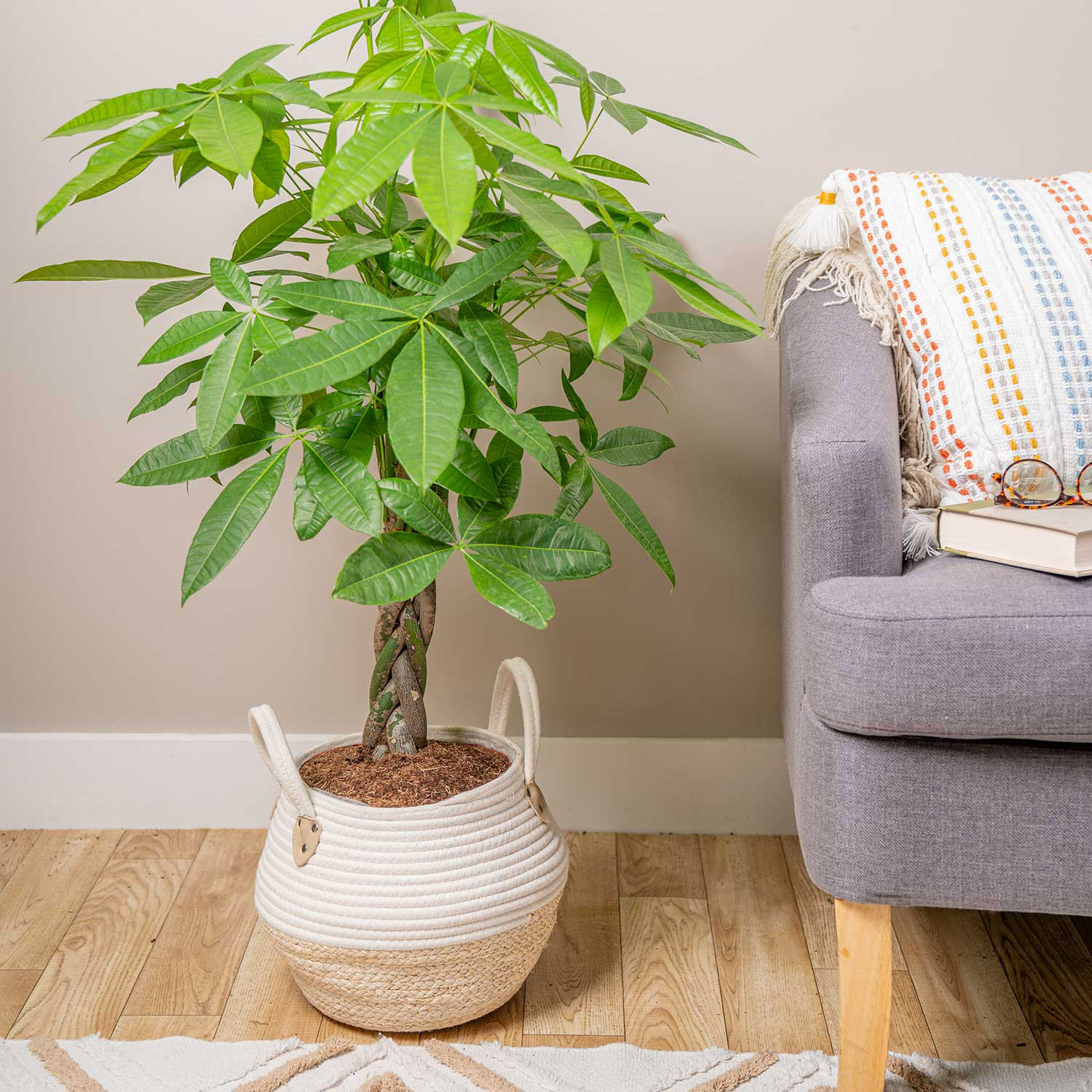 Enlarge Product Preview 2 Successfully Enriched by automation Job.