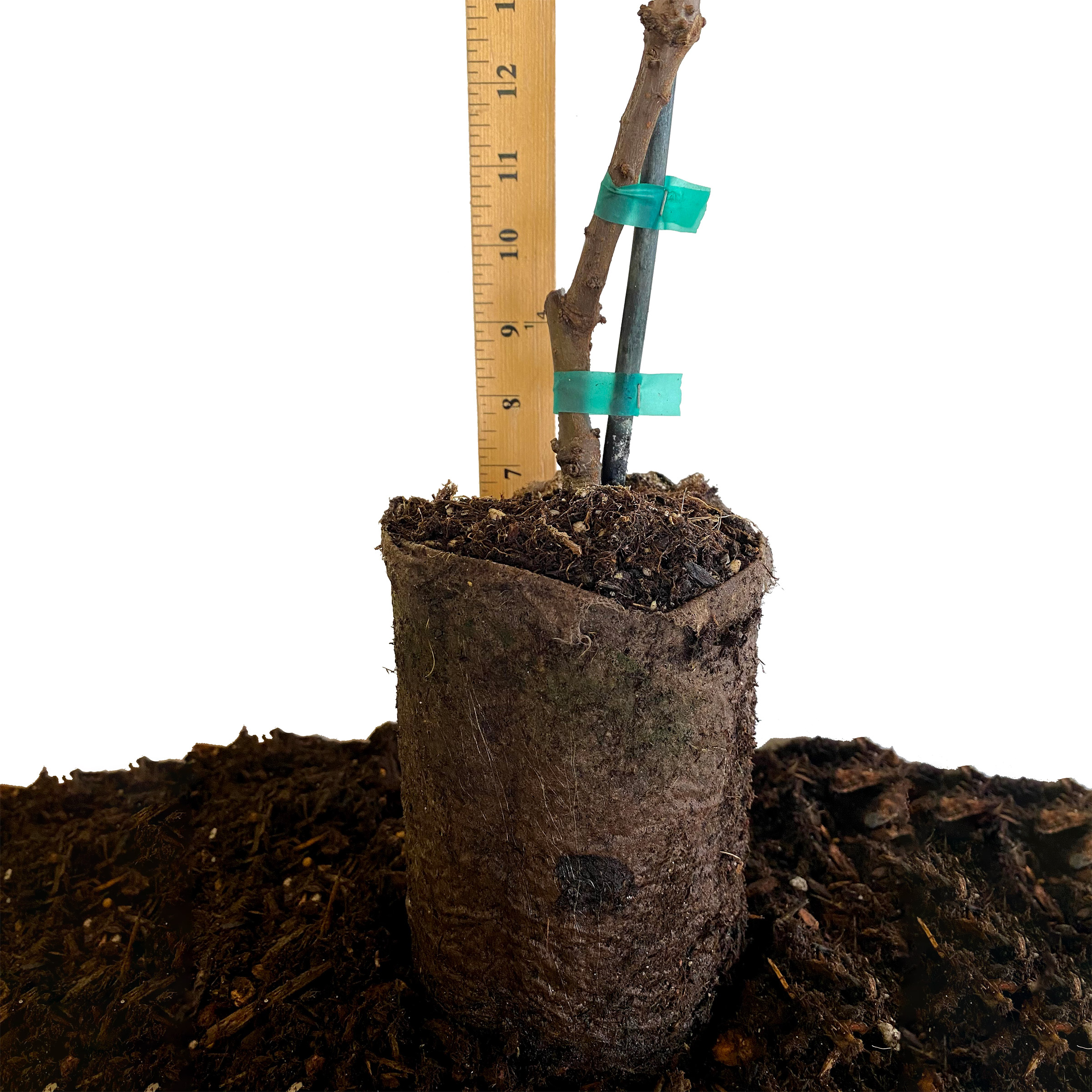 Enlarge Product Preview 4