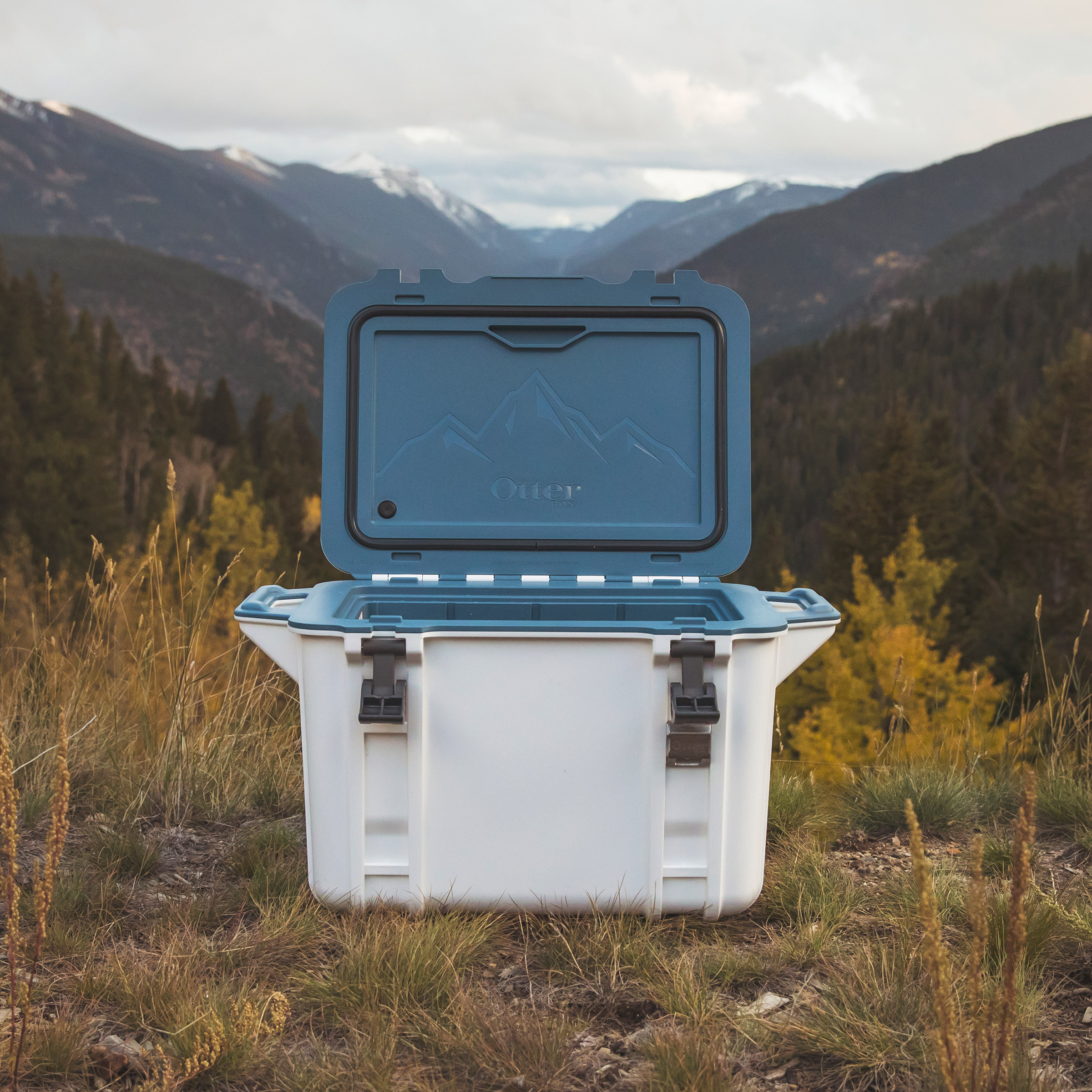 Enlarge Product Preview 8