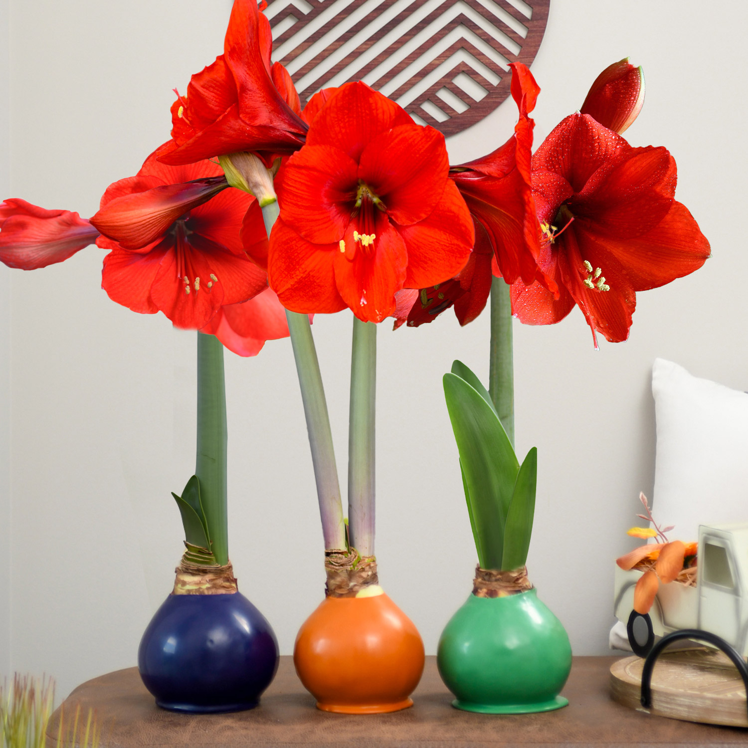 Enlarge Product Preview 5 Successfully Enriched by automation Job.