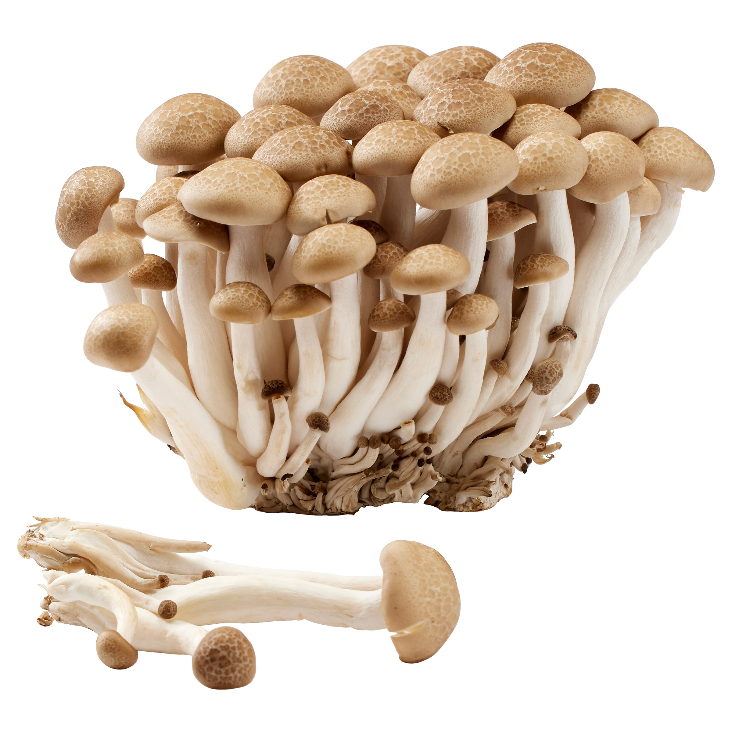 Enlarge Product Preview 3 Successfully Enriched by automation Job.