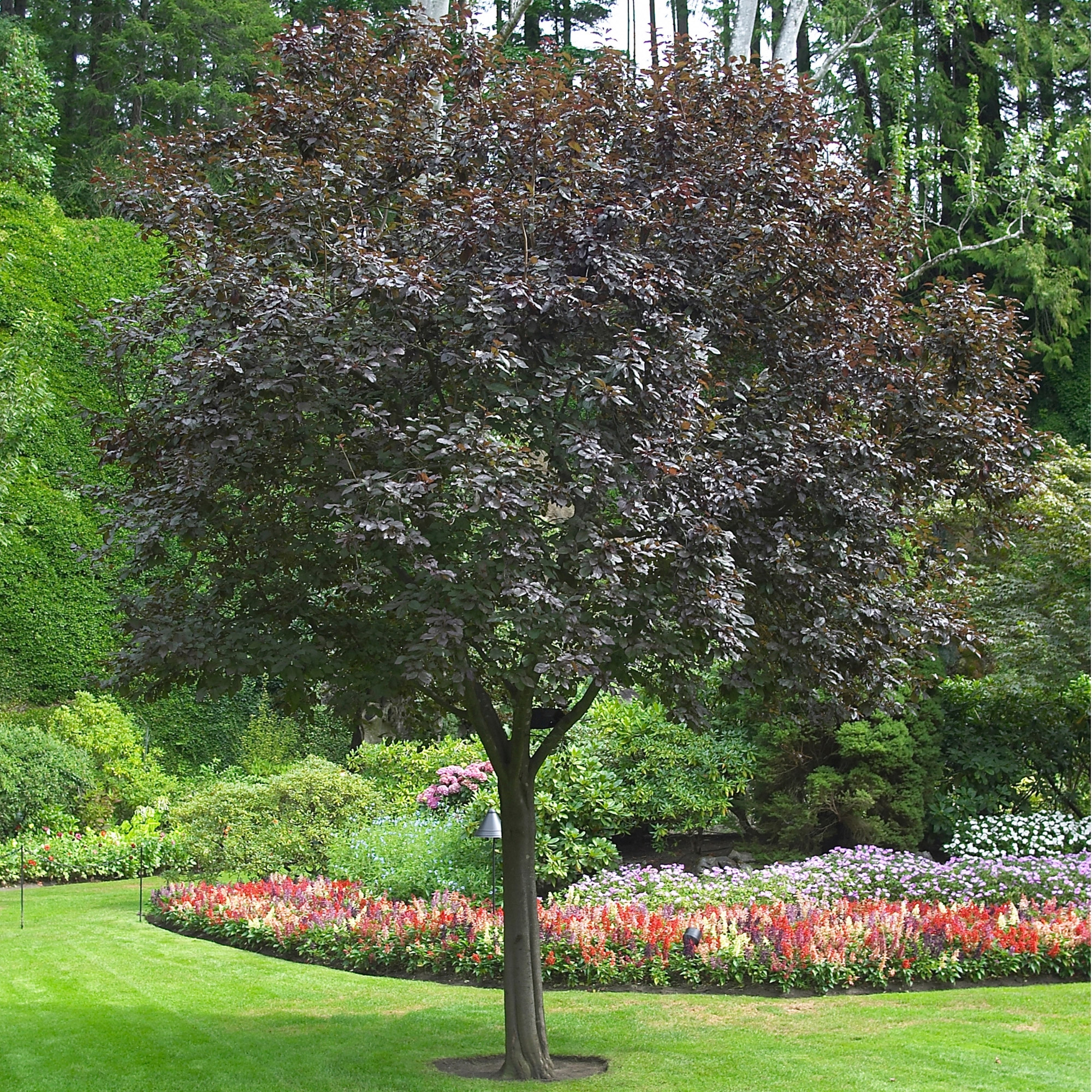 Enlarge Product Preview 7