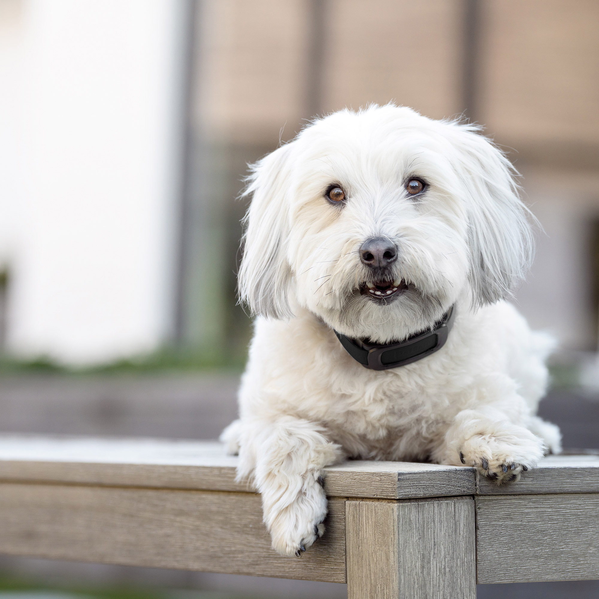 Enlarge Product Preview 4 Successfully Enriched by automation Job.