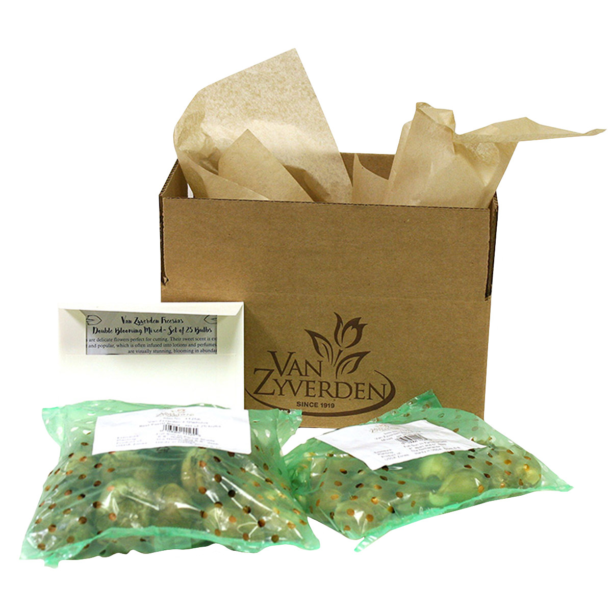 Enlarge Product Preview 2