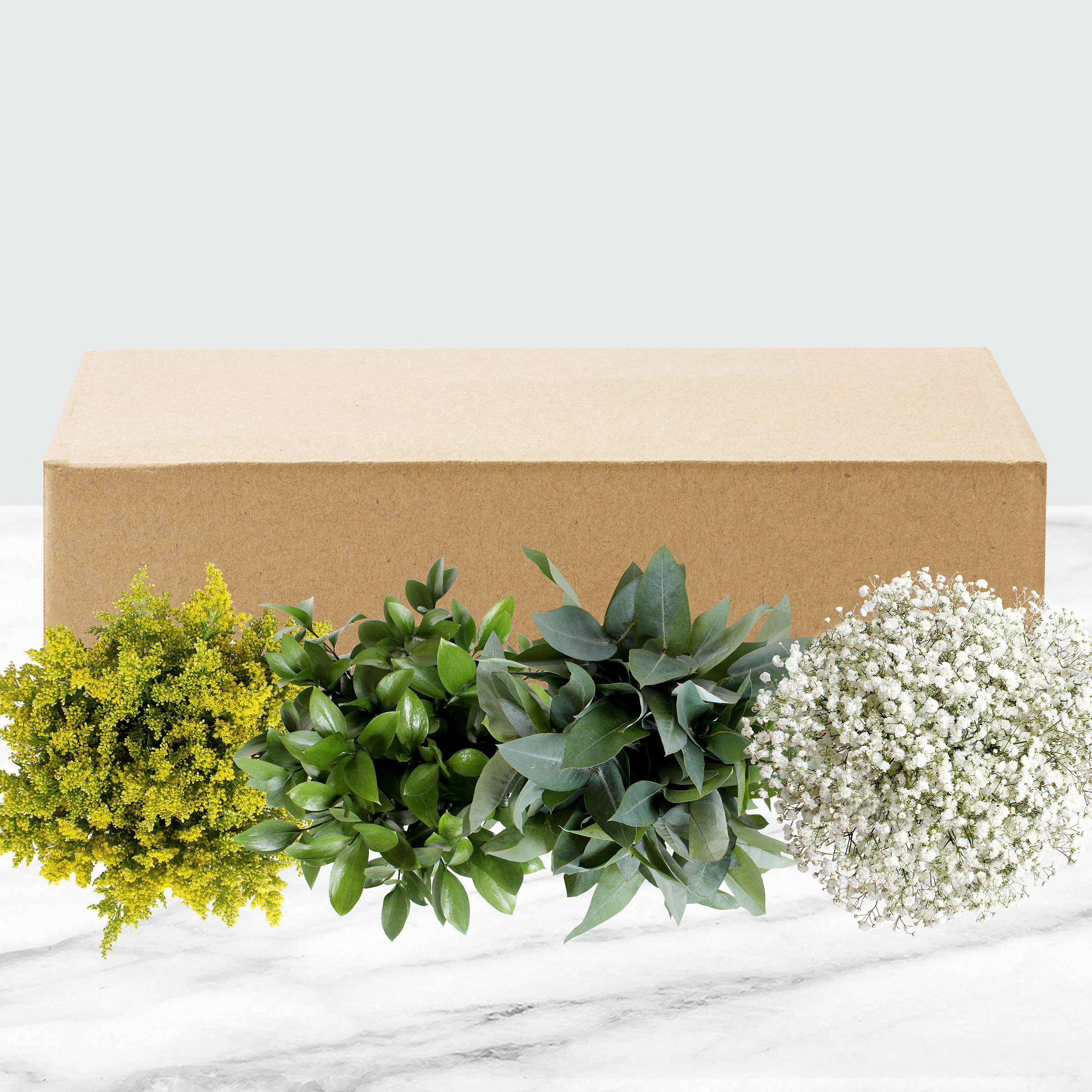 Enlarge Product Preview 6