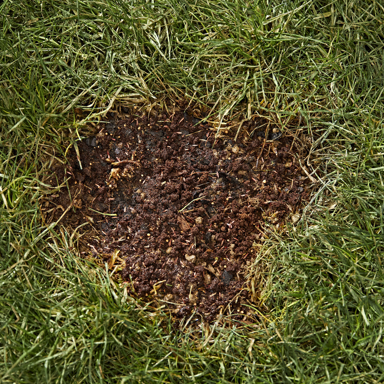 Enlarge Product Preview 6