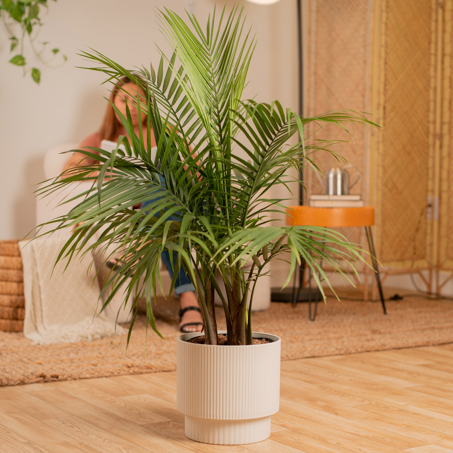 Enlarge Product Preview 3 Successfully Enriched by automation Job.