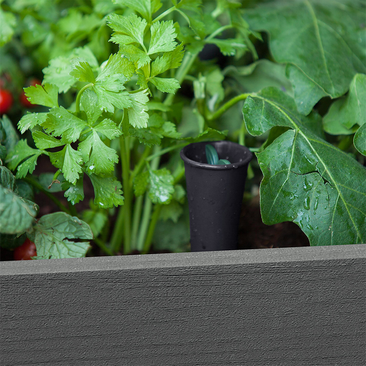 Enlarge Product Preview 8