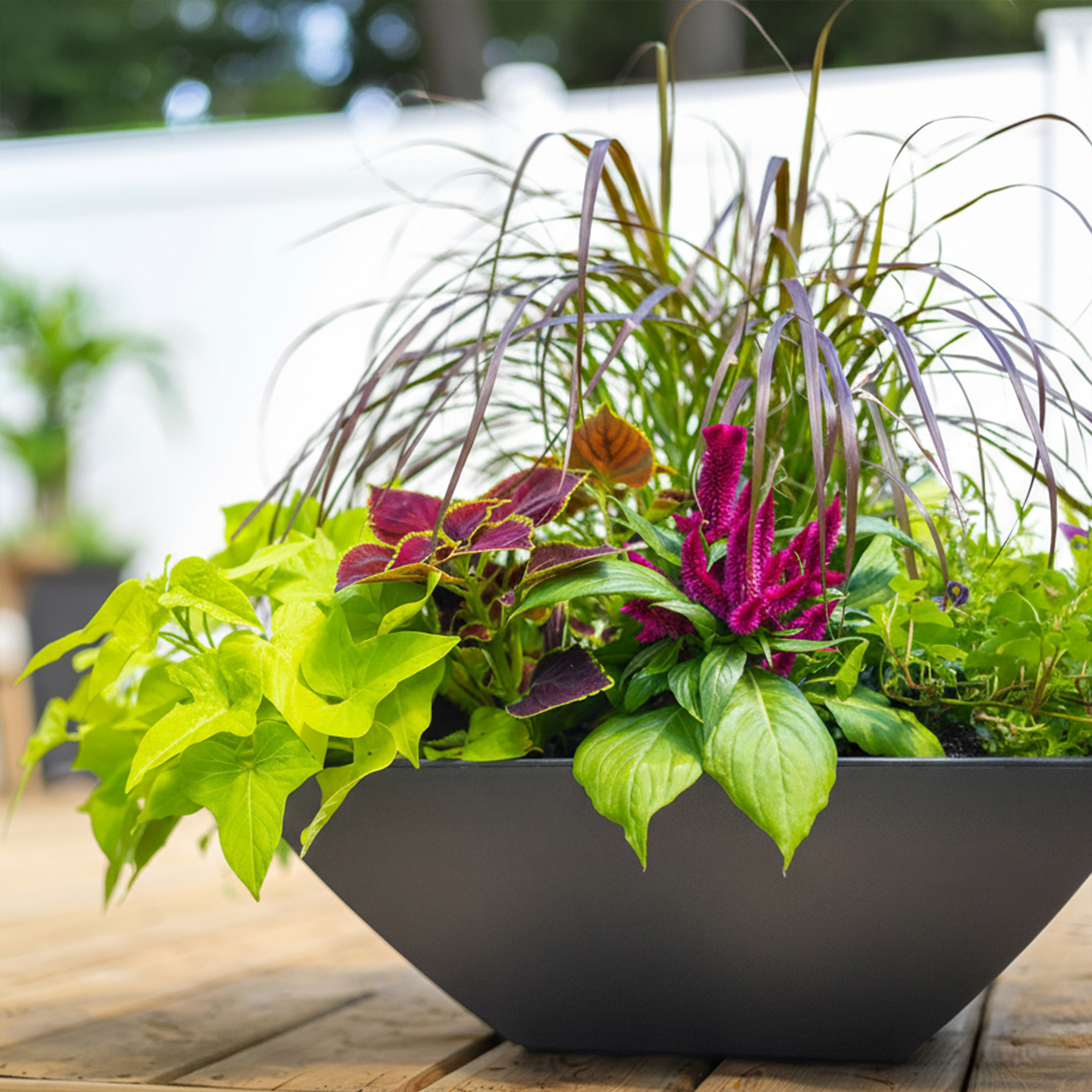 Evolve 20 in. Square Bowl Planters, Black, 2-pack | Costco