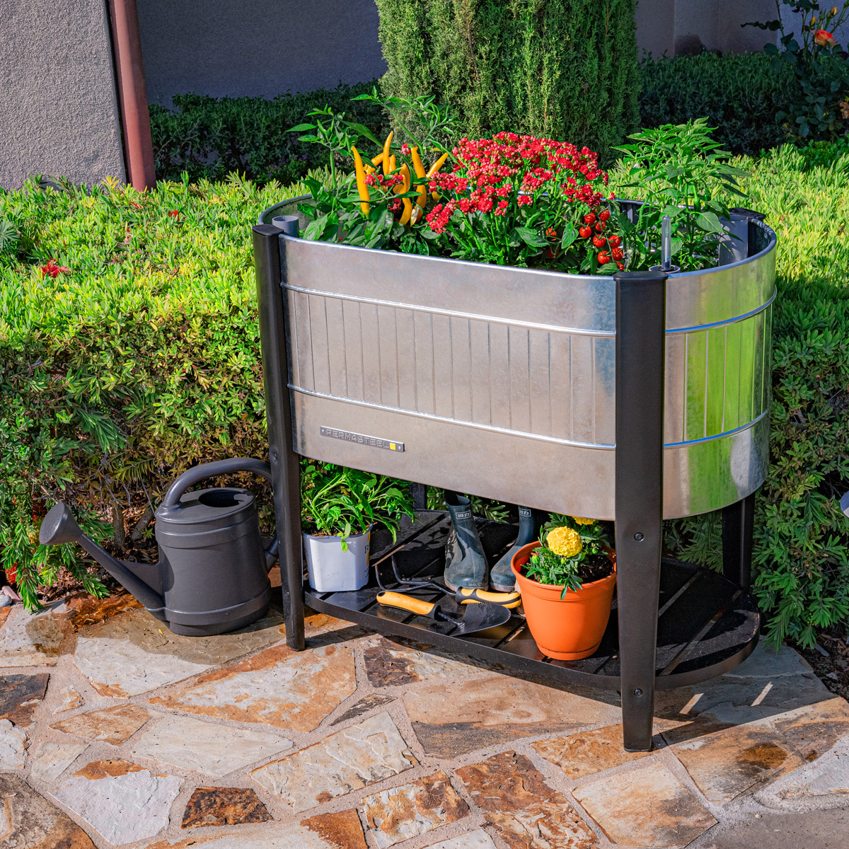 Enlarge Product Preview 2 Automation Job: Item or Product number could not be derived from the asset name.