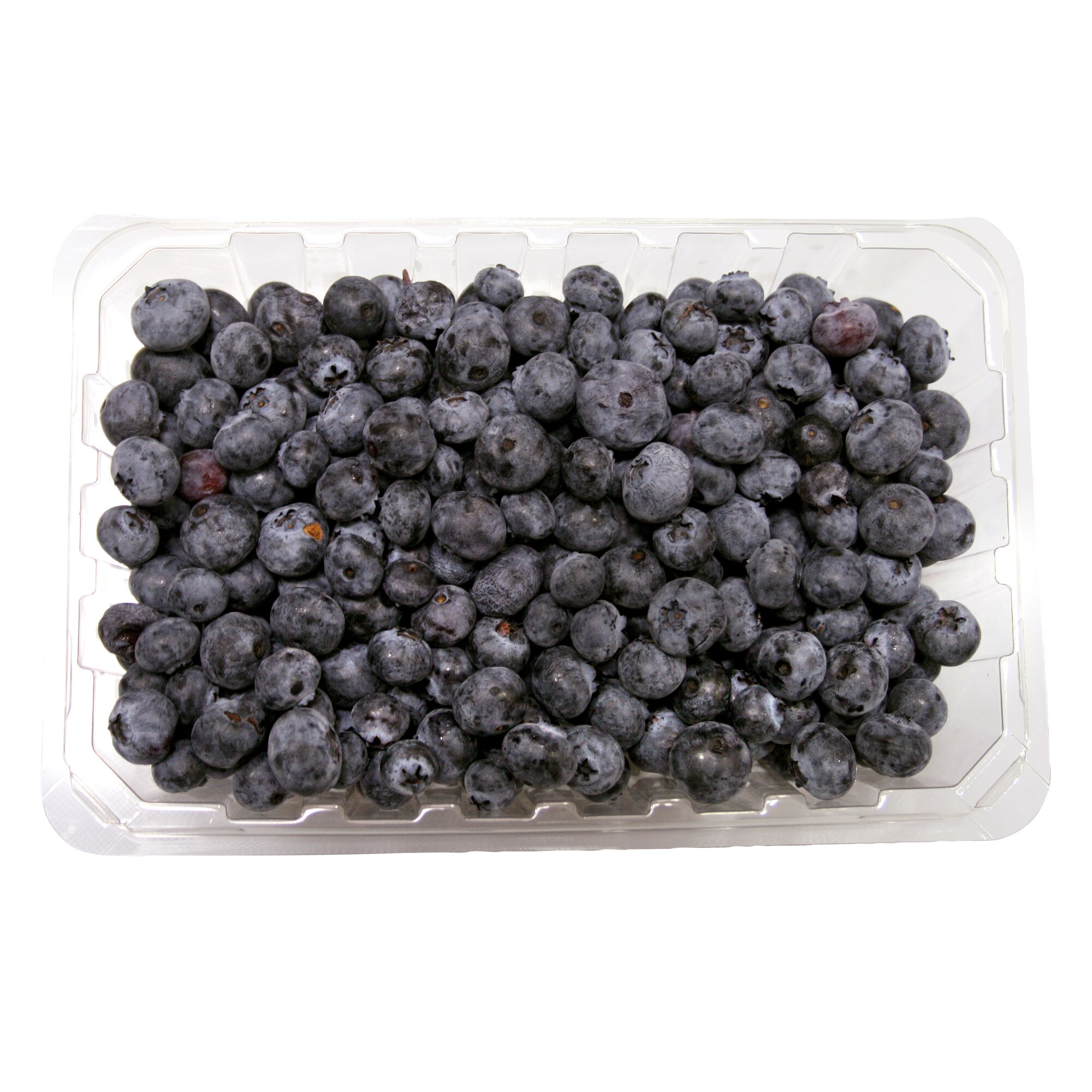 Blueberries, 510 g