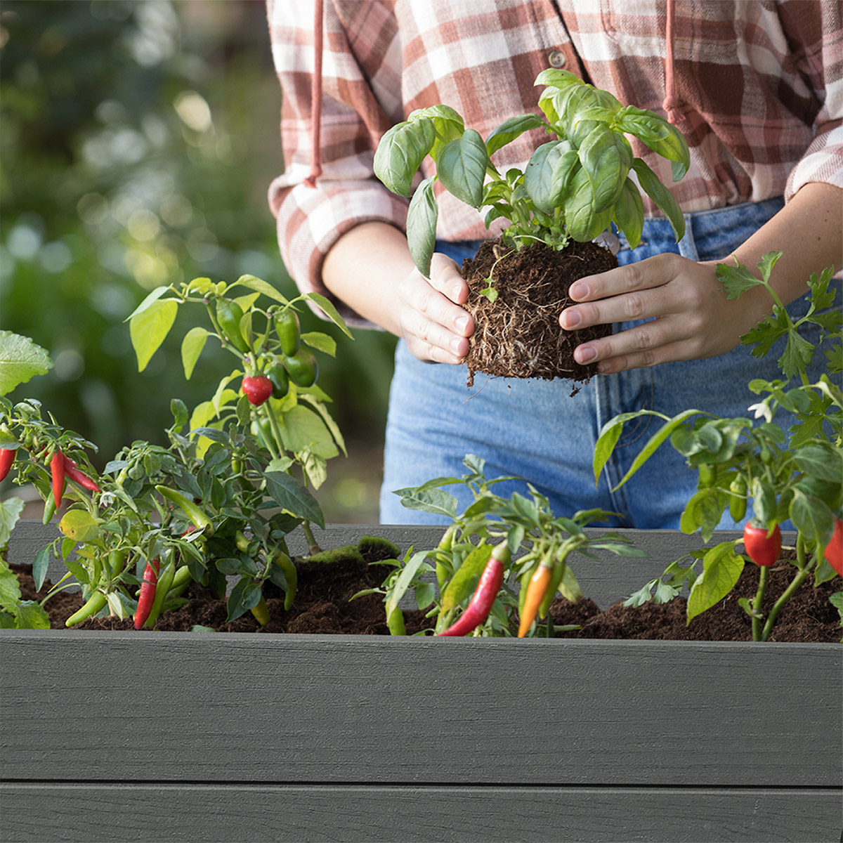 Enlarge Product Preview 4