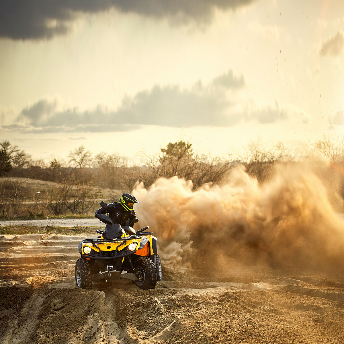 Enlarge Product Preview 3