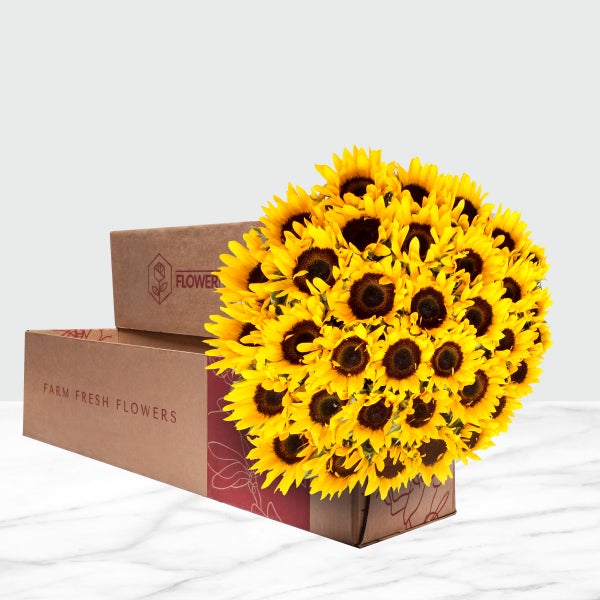 40-stem Sunflowers | Costco 40-stem Sunflowers | Costco