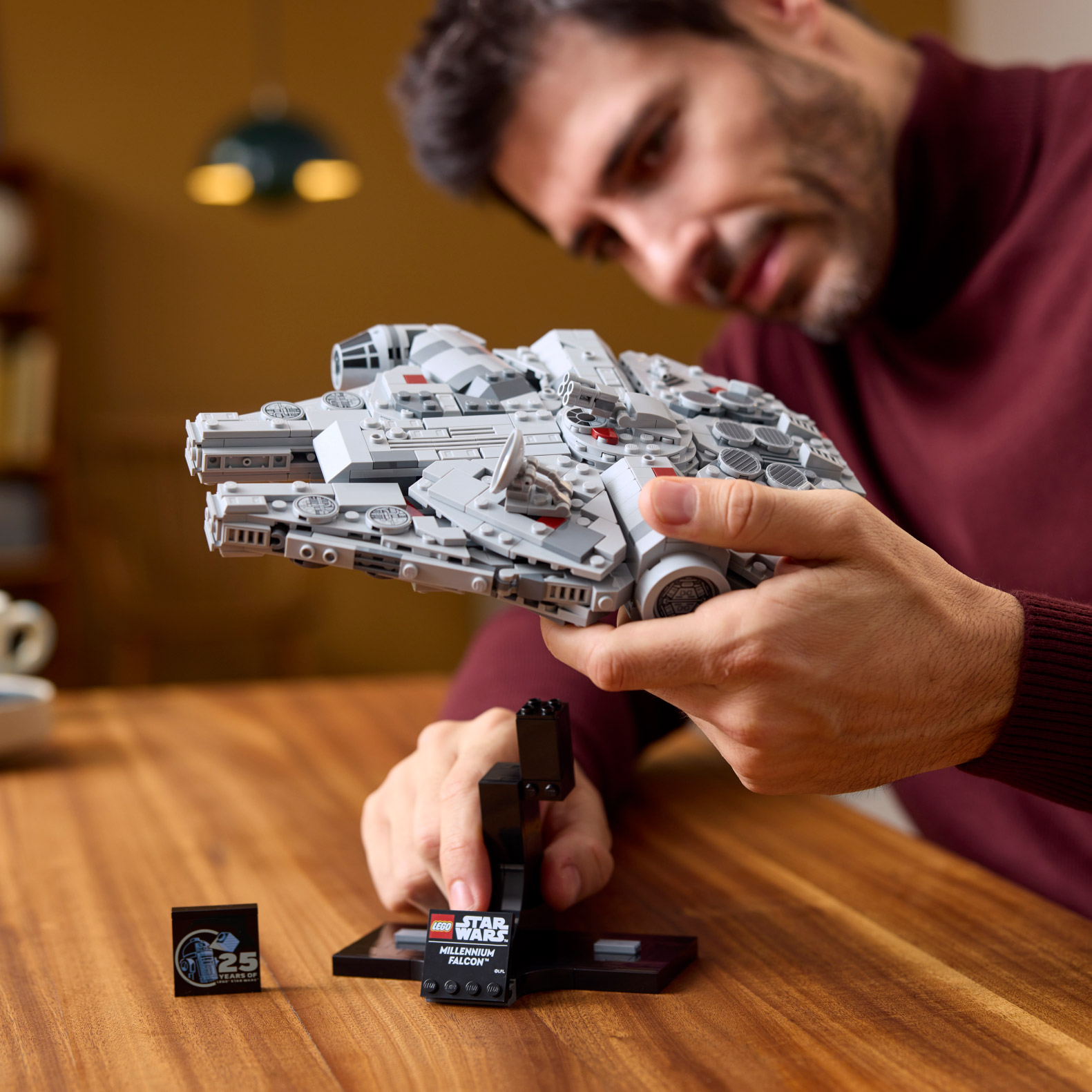 Enlarge Product Preview 6 Successfully Enriched by automation Job.