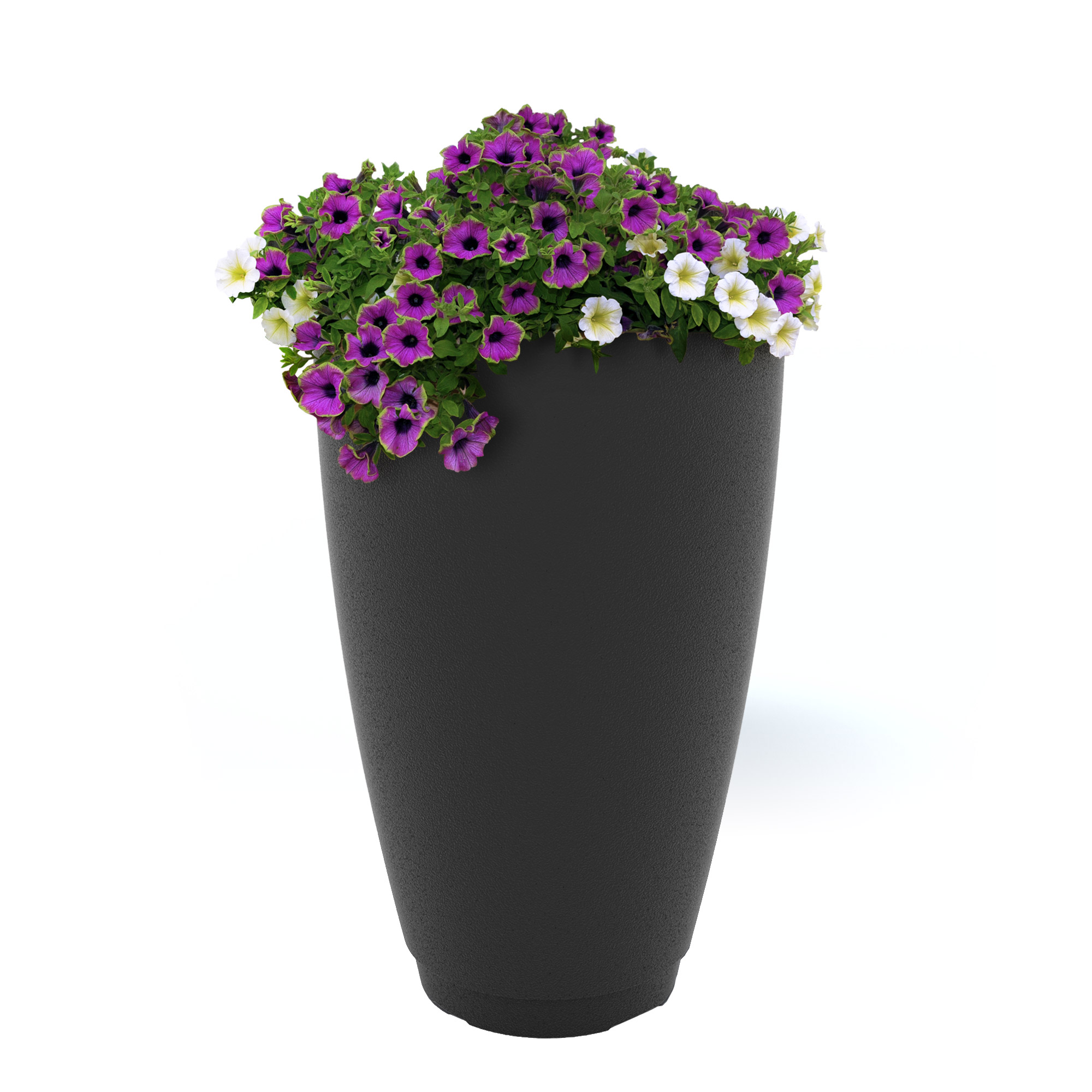 Enlarge Product Preview 3