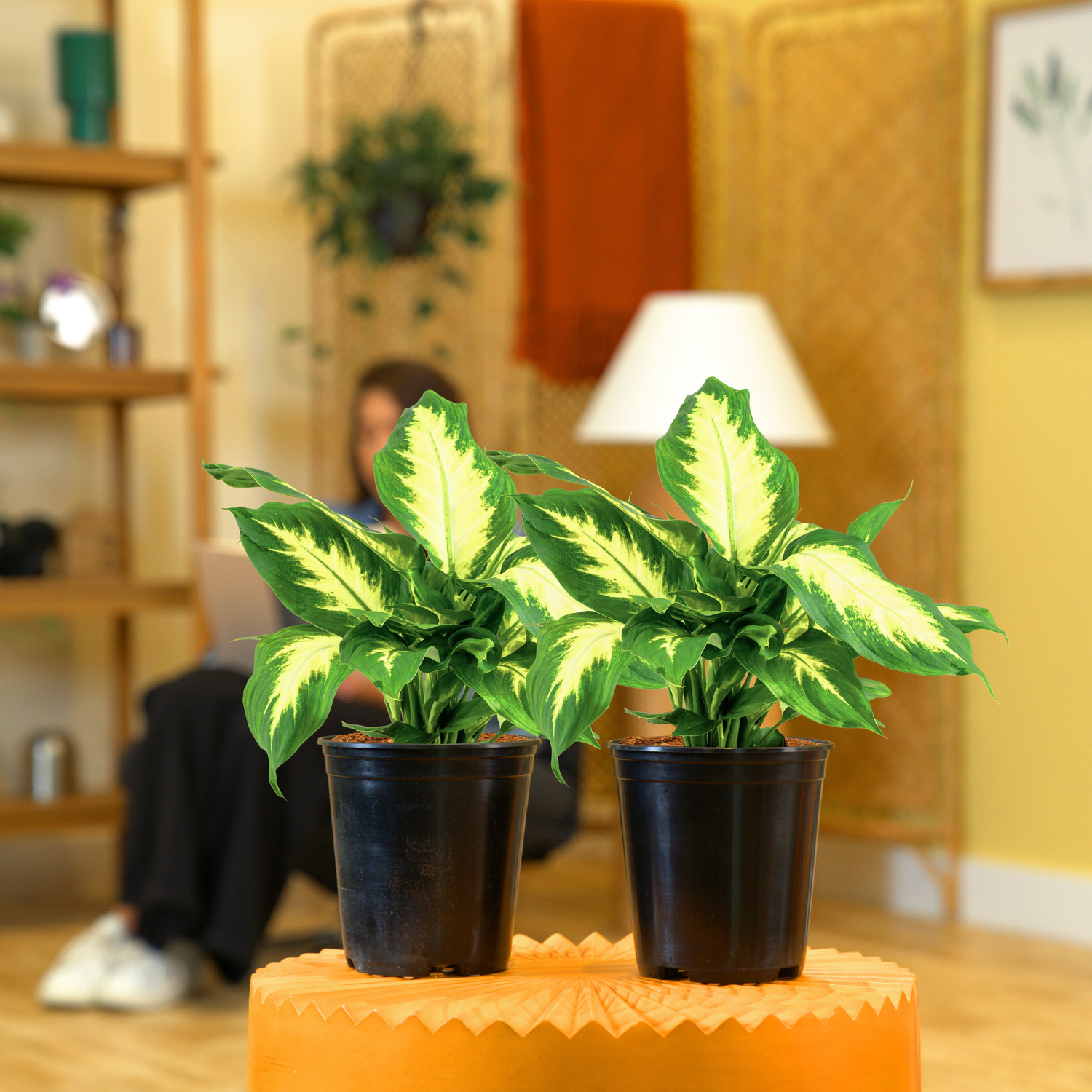 Enlarge Product Preview 3 Successfully Enriched by automation Job.