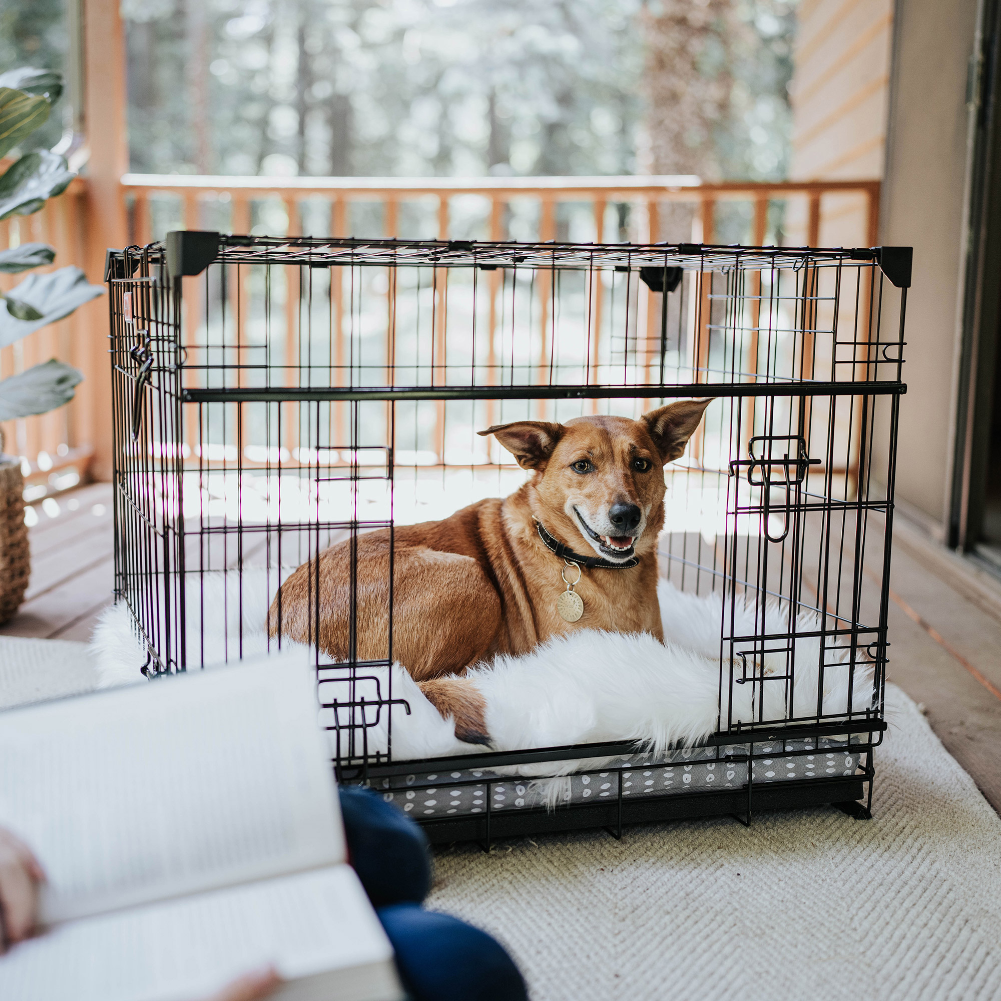 Enlarge Product Preview 2 Successfully Enriched by automation Job.